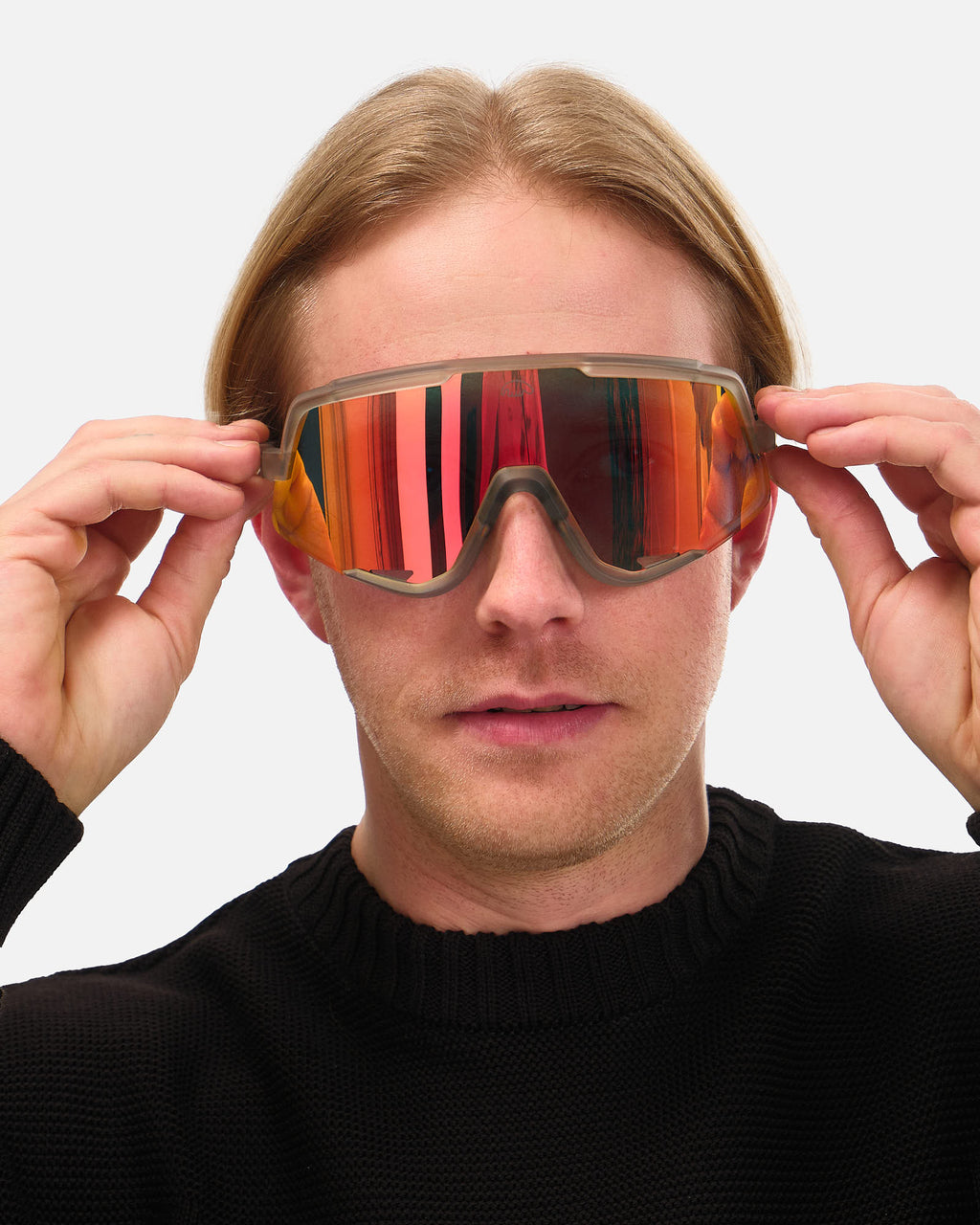 Anteater High Vision