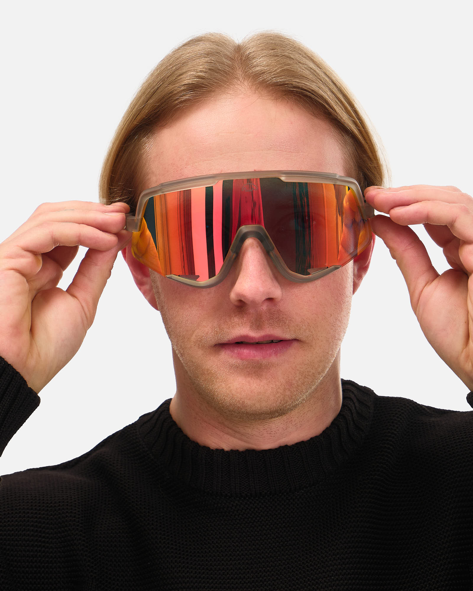 Anteater High Vision