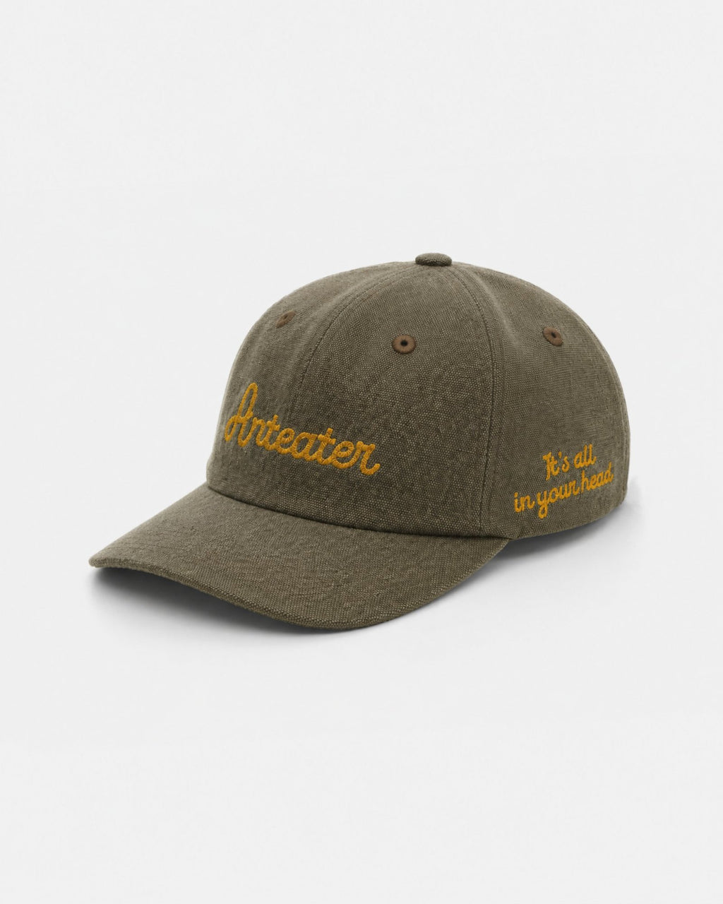 Anteater Snap Back Cap
