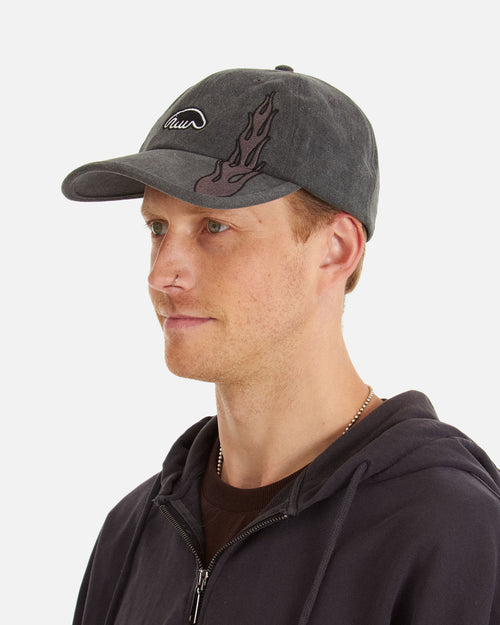Anteater 6 Panel Cap