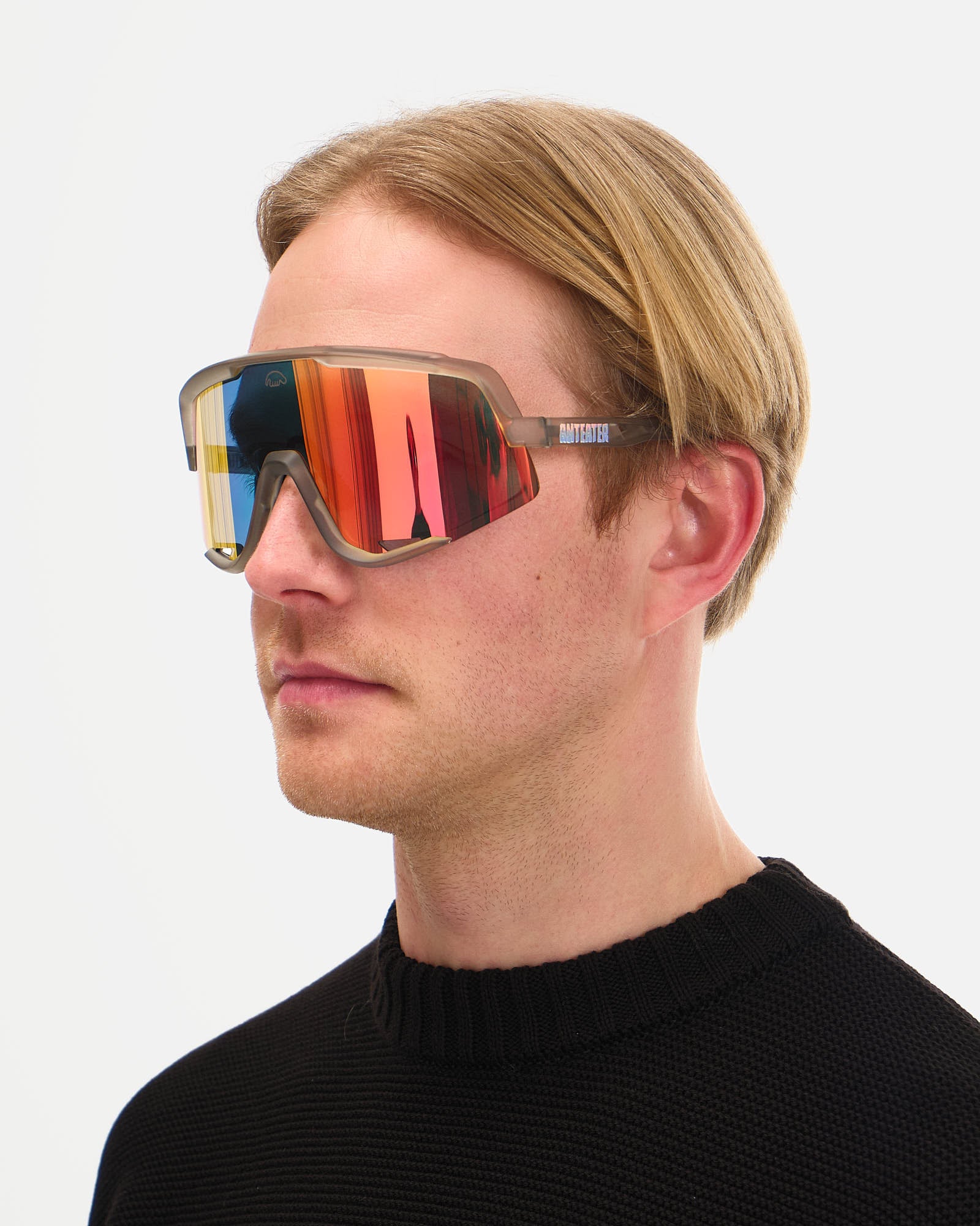 Anteater High Vision