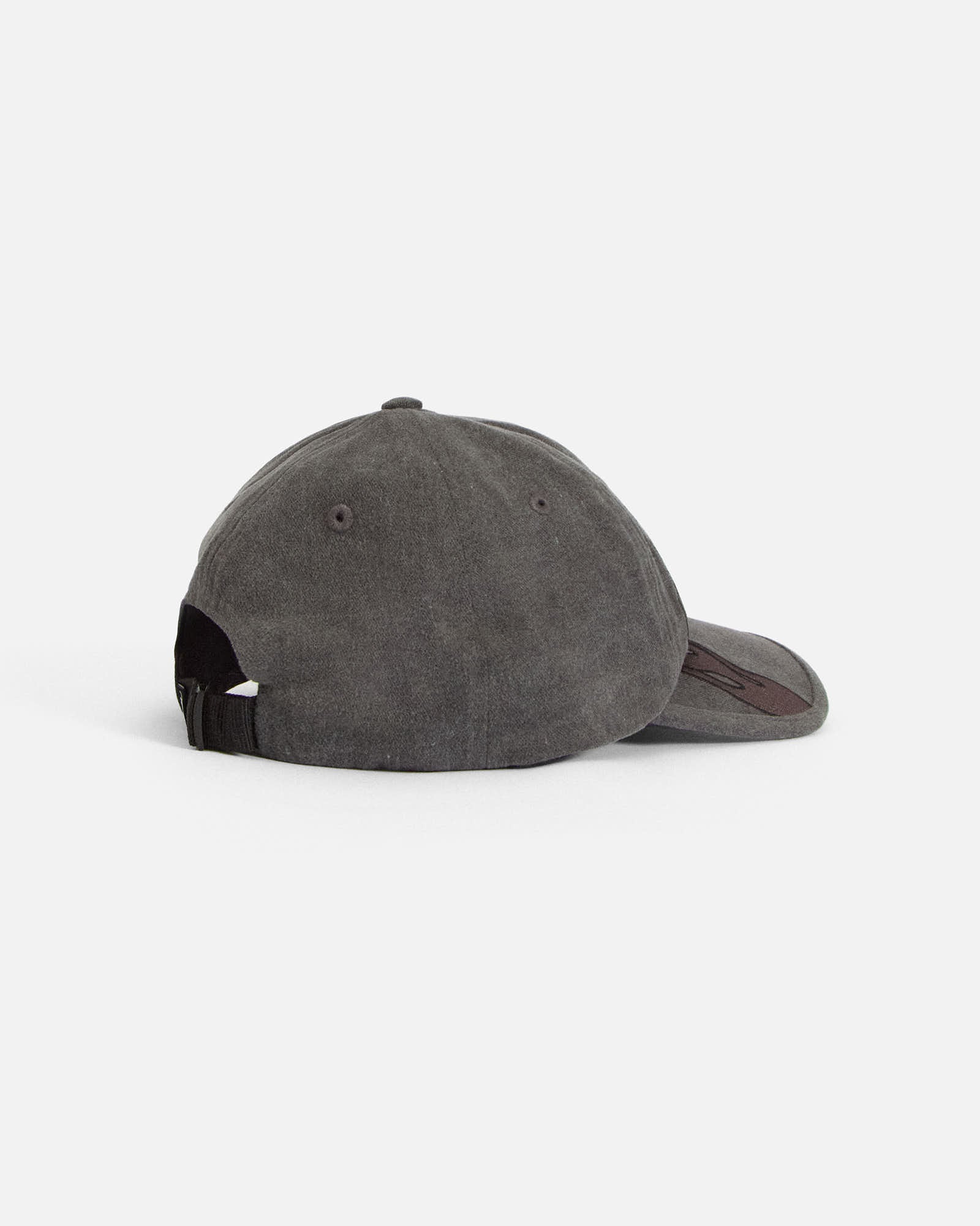 Anteater 6 Panel Cap