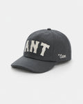 Anteater Snap Back Cap