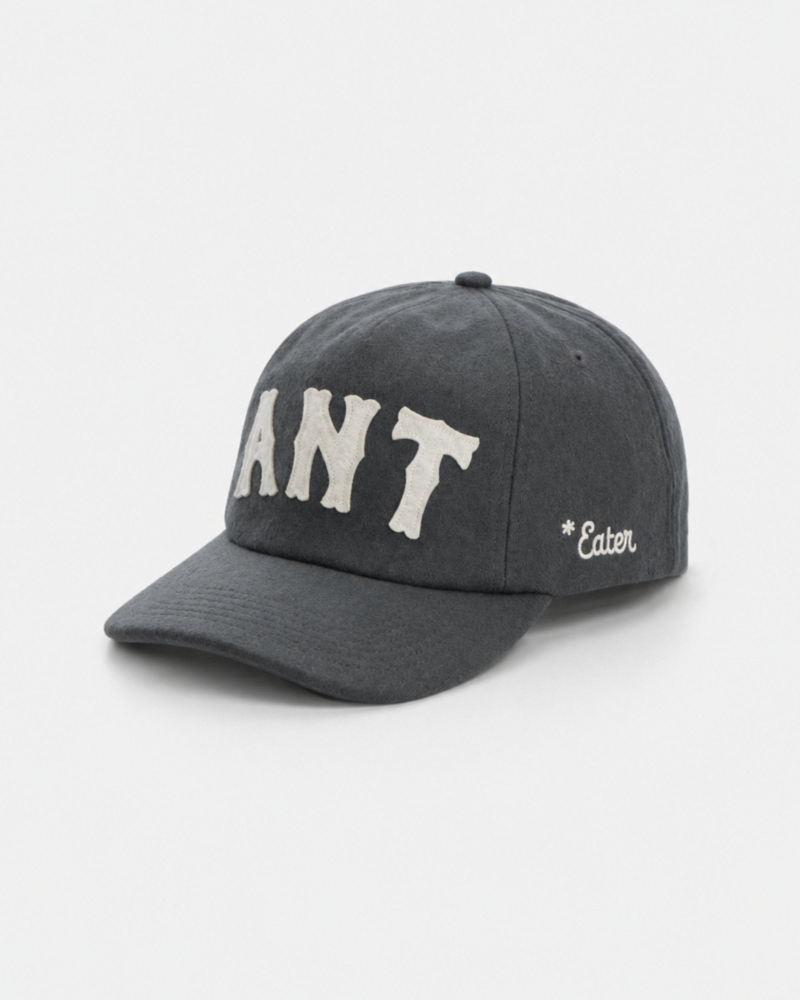 Anteater Snap Back Cap