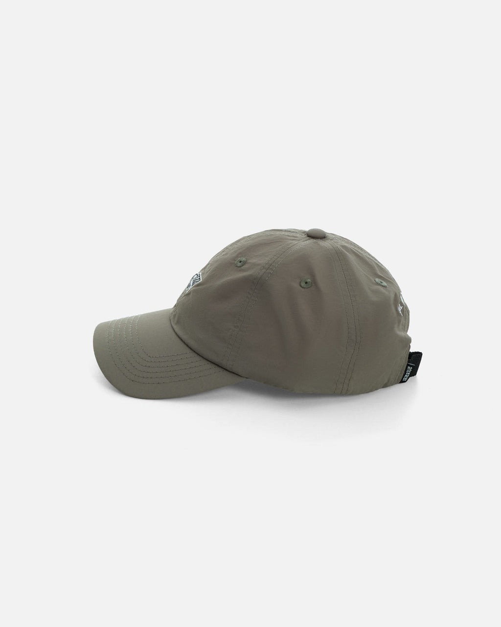 Anteater 6 Panel Cap
