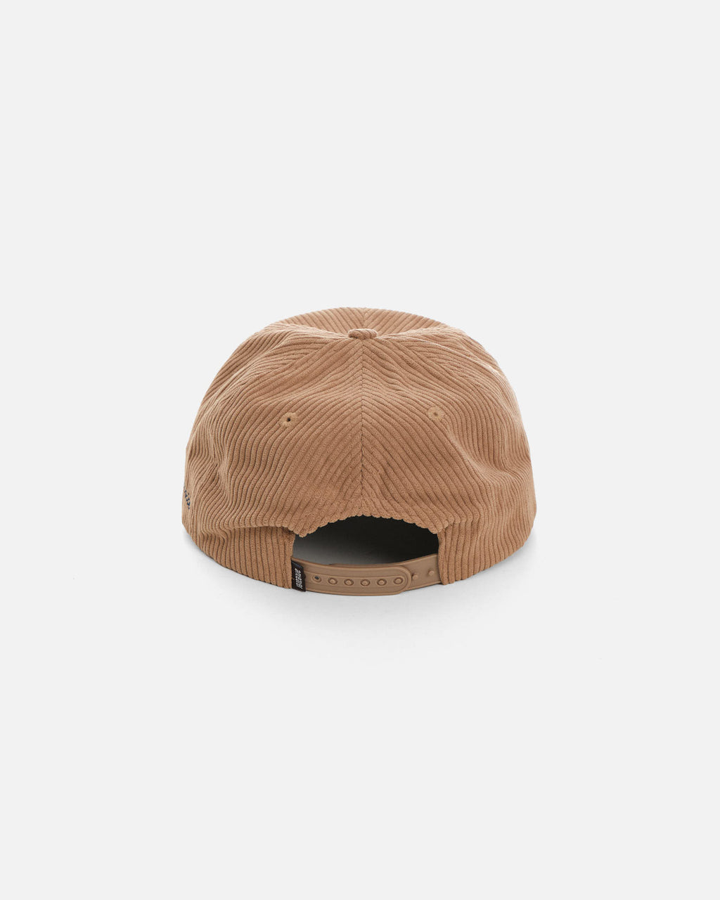 Anteater Snap Back Cap
