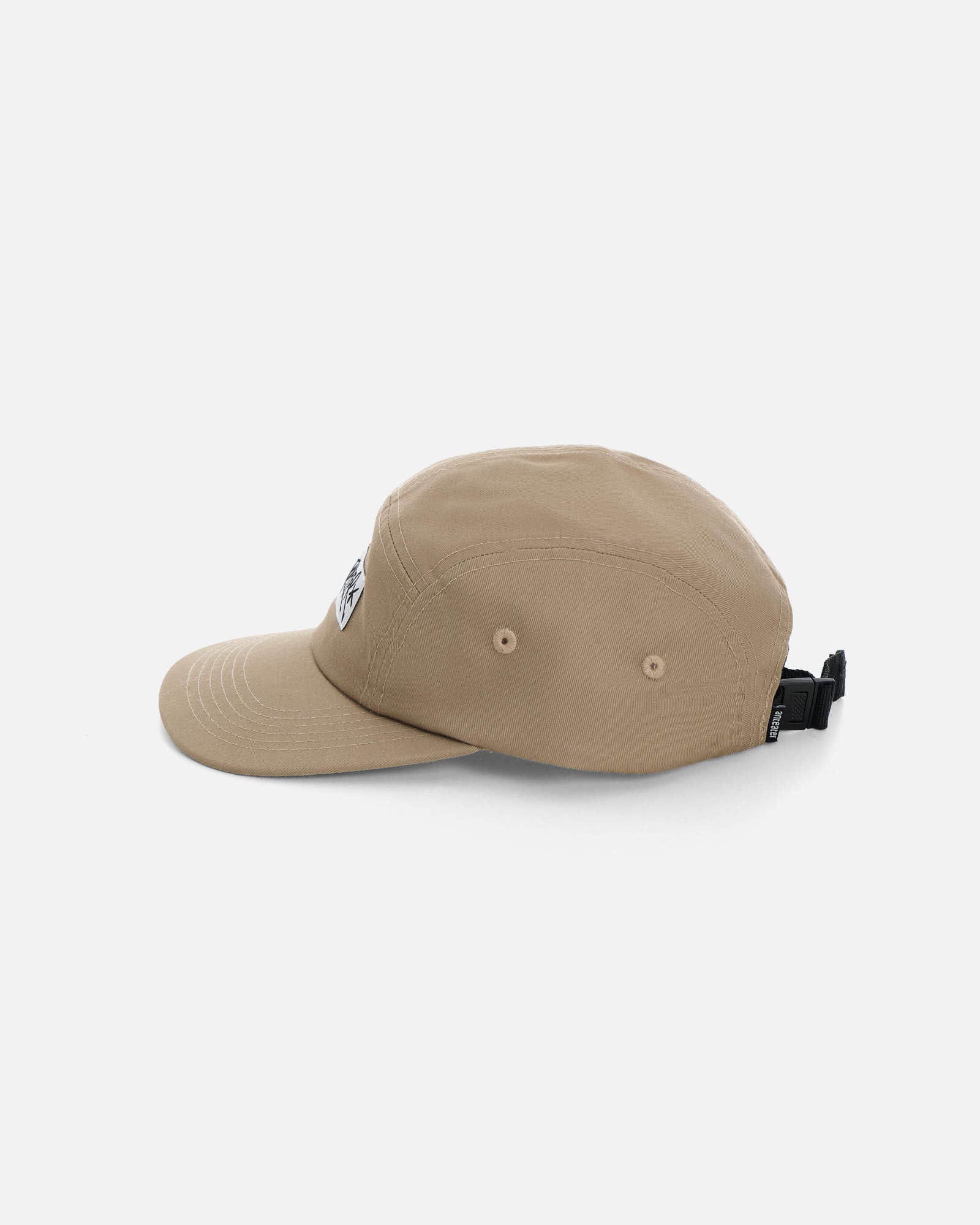 Anteater 5 Panel Cap