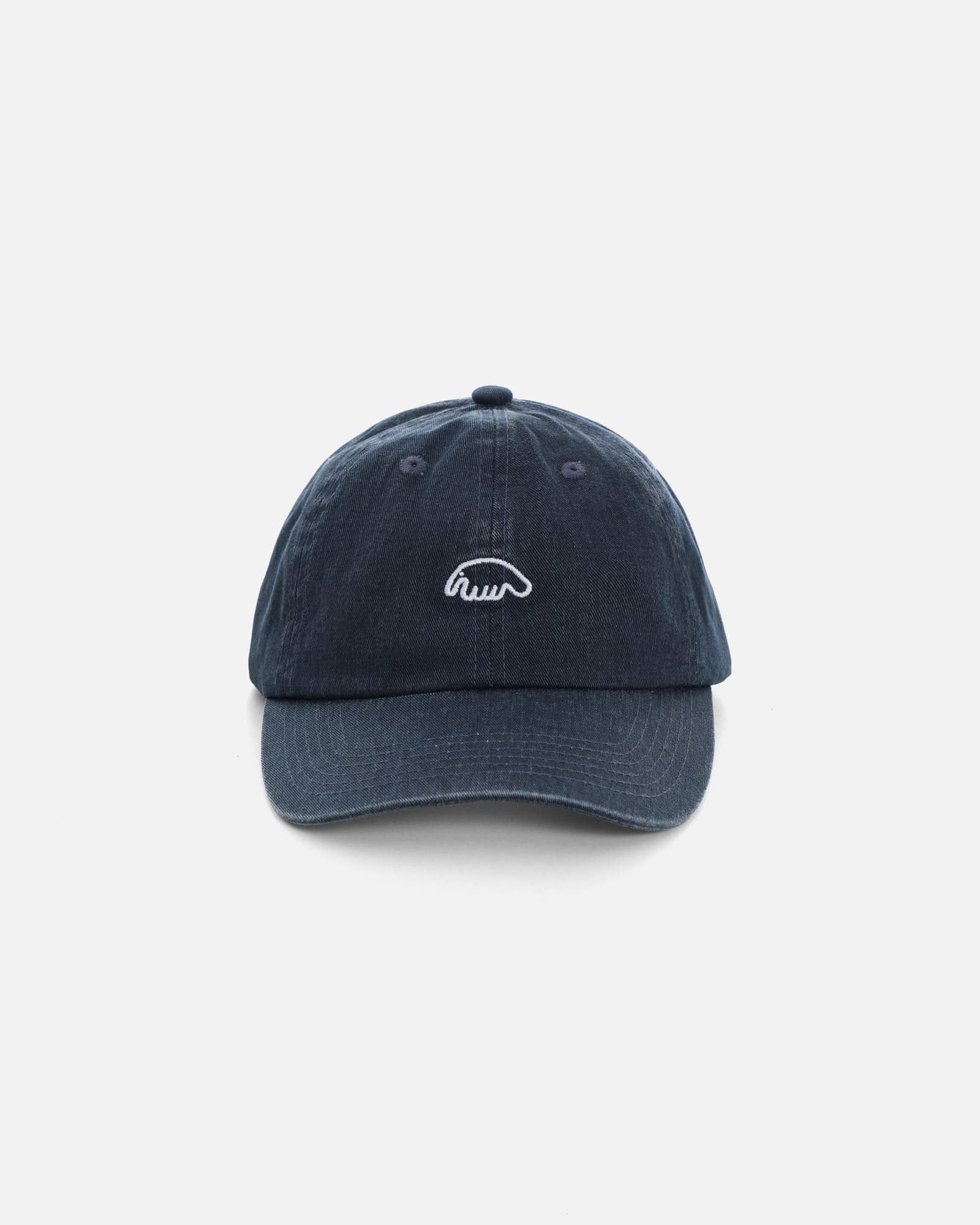 Anteater 6 Panel Cap