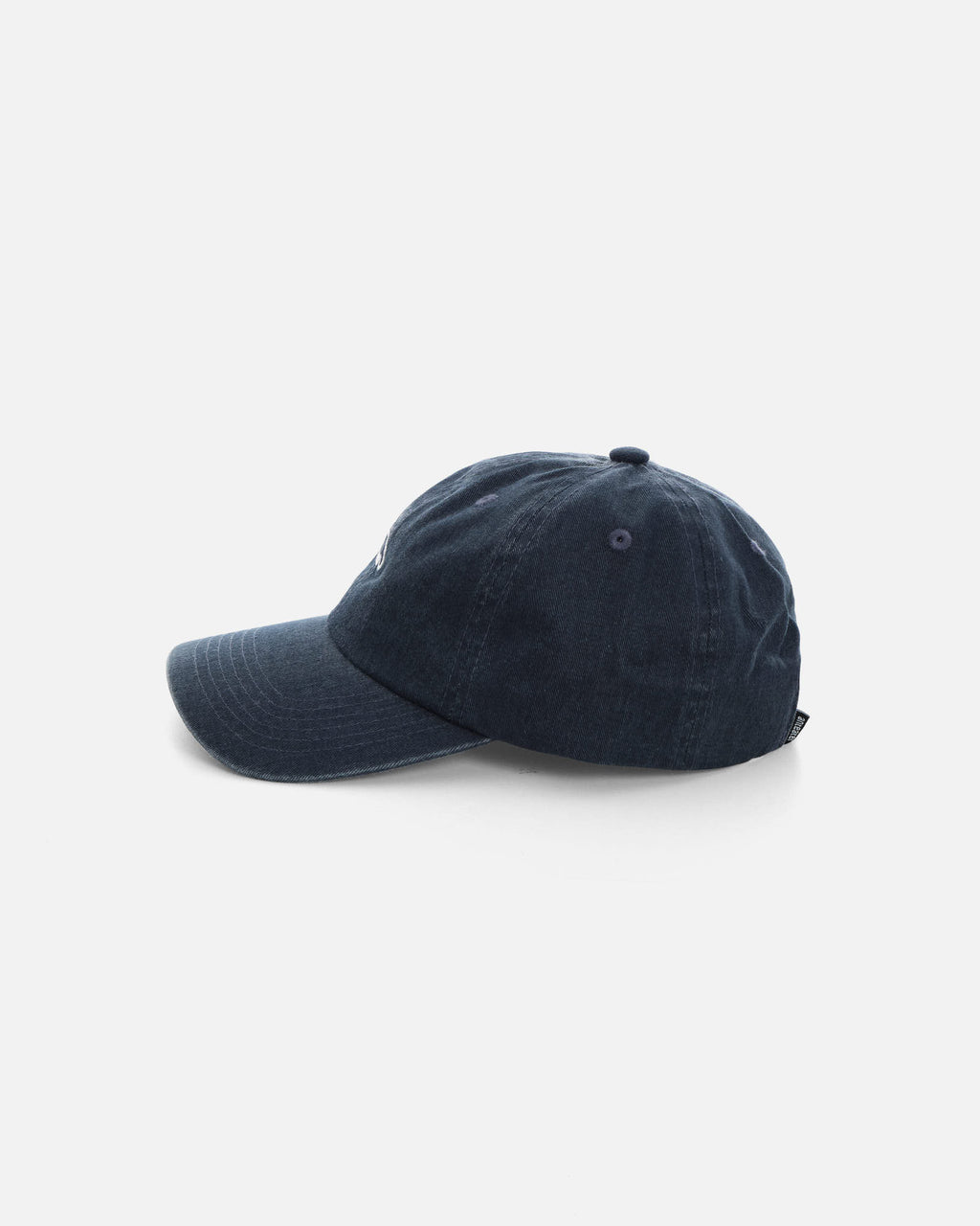 Anteater 6 Panel Cap