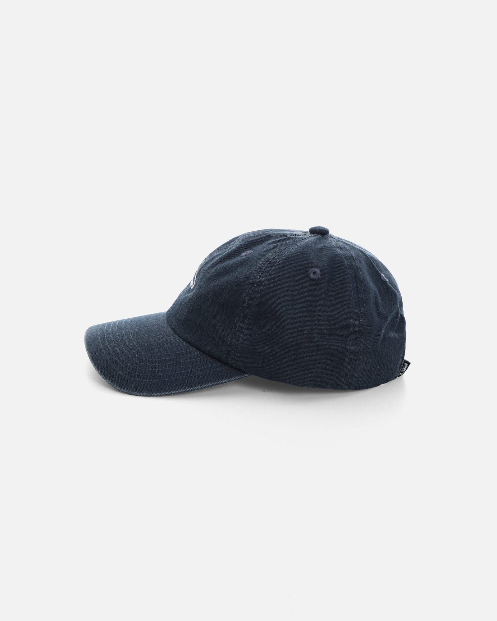 Anteater 6 Panel Cap