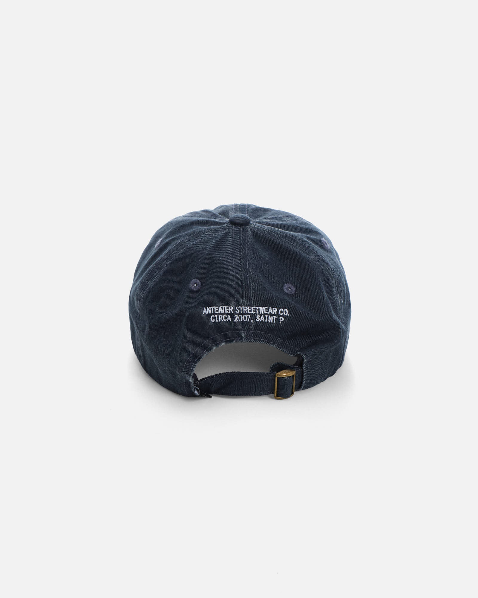 Anteater 6 Panel Cap