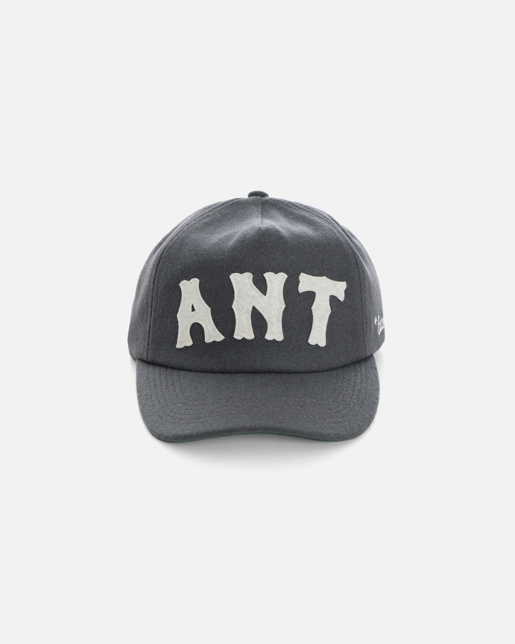 Anteater Snap Back Cap