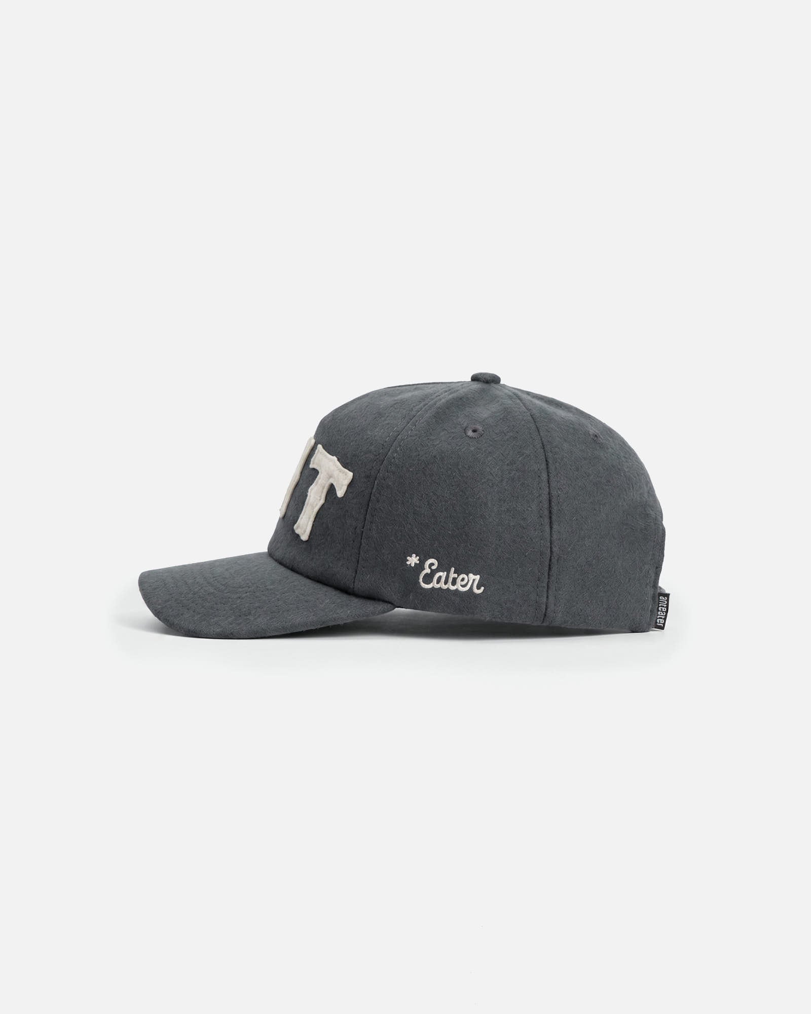 Anteater Snap Back Cap
