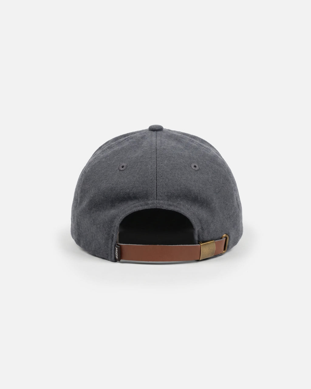 Anteater Snap Back Cap