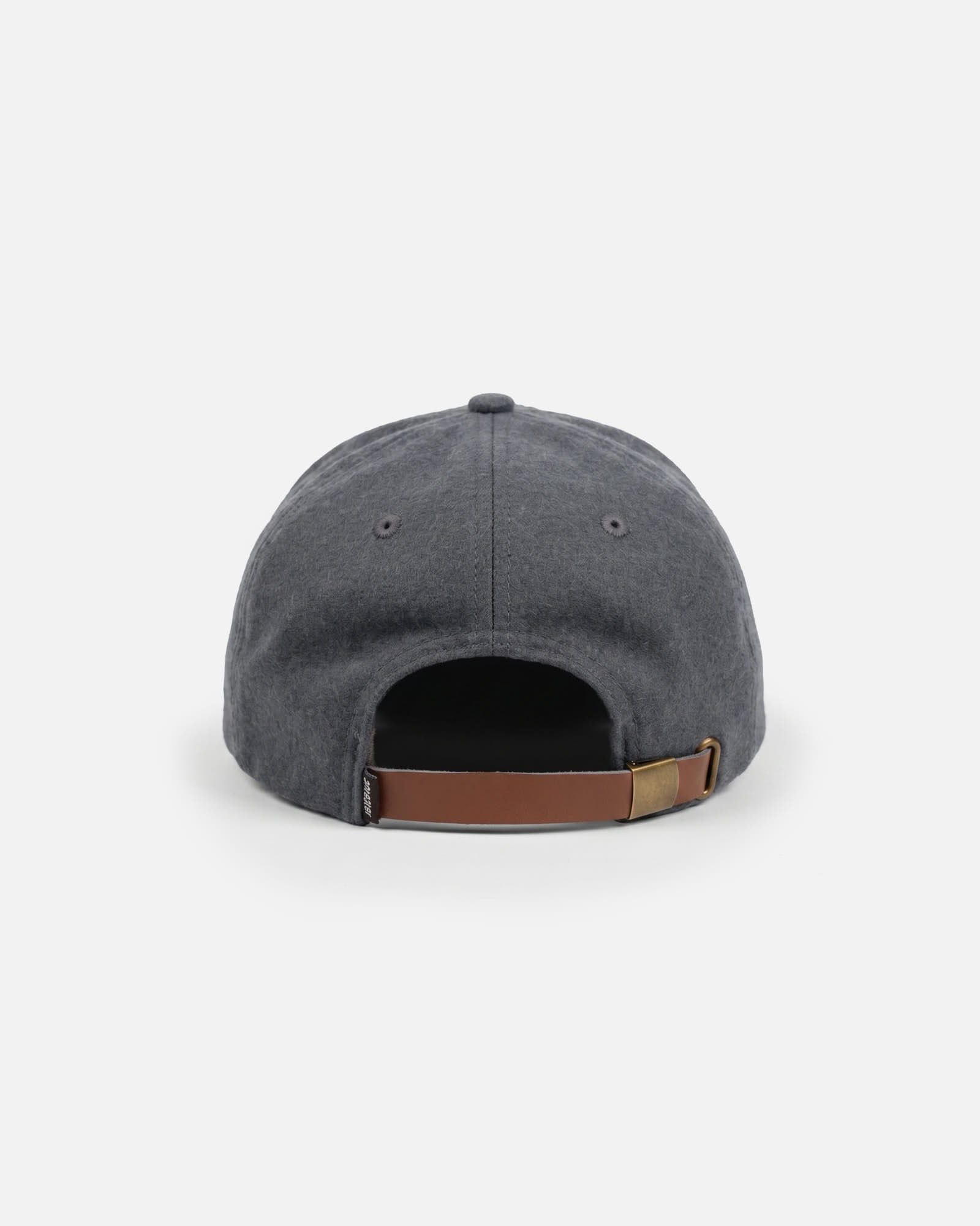 Anteater Snap Back Cap
