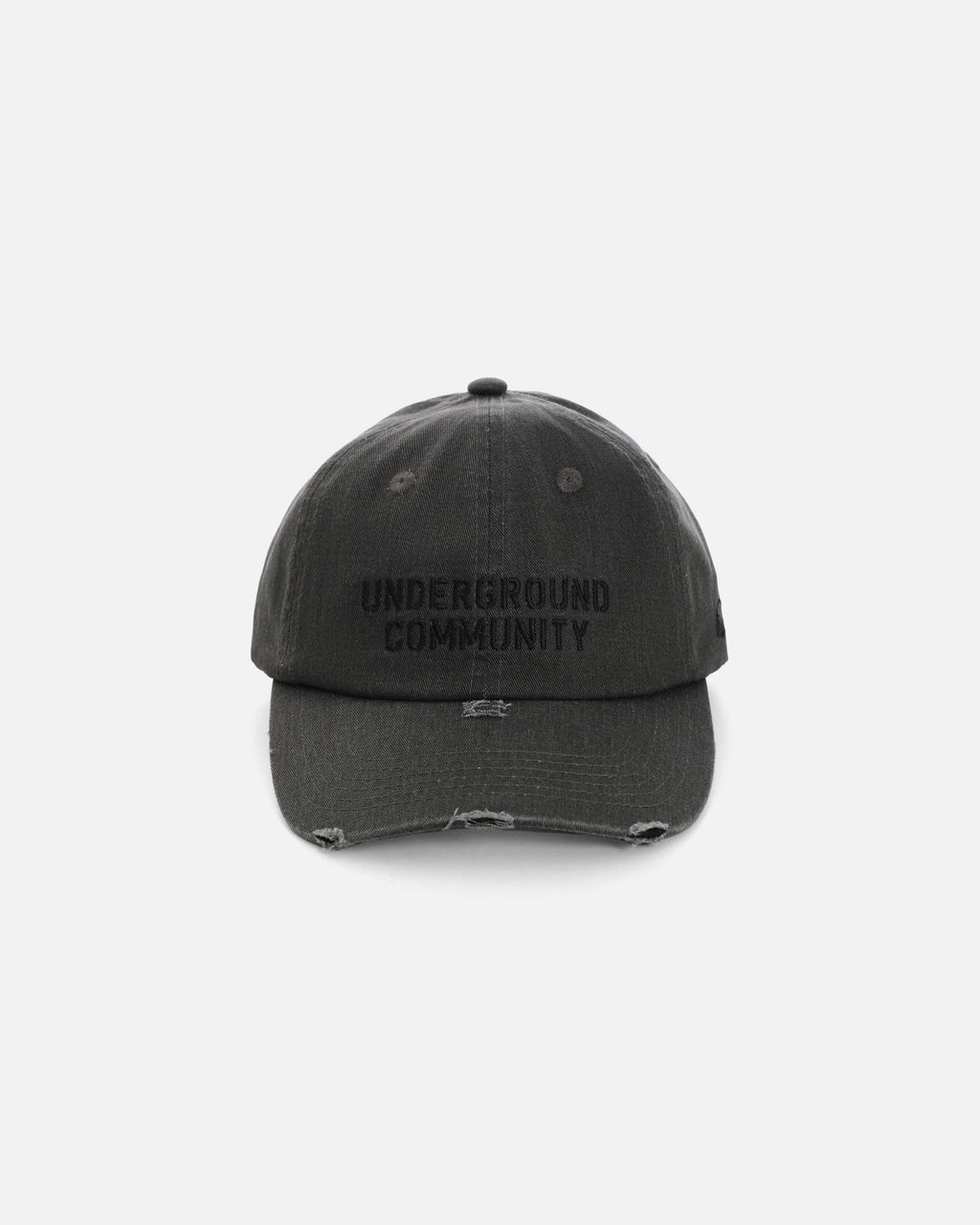 Anteater 6 Panel Cap