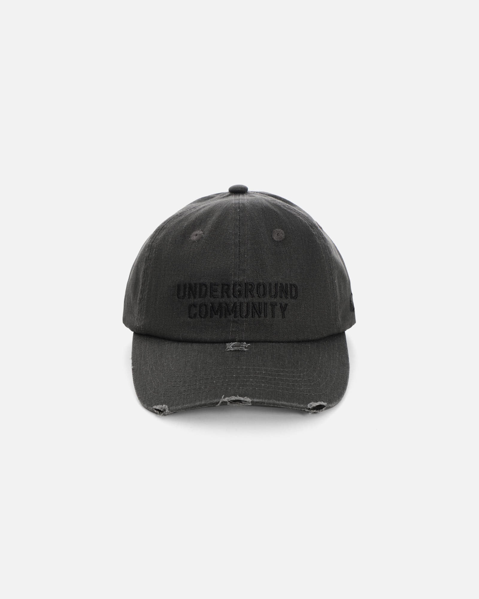 Anteater 6 Panel Cap