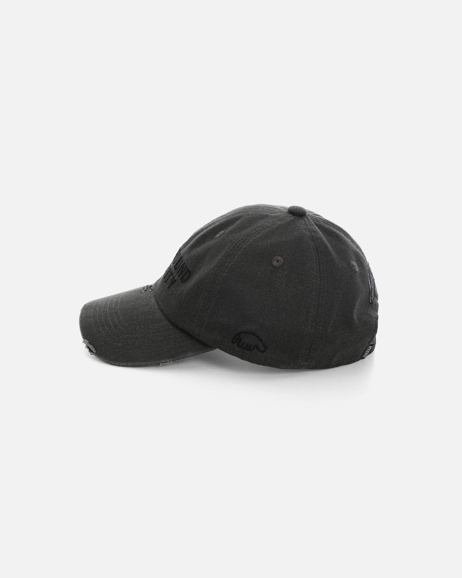 Anteater 6 Panel Cap