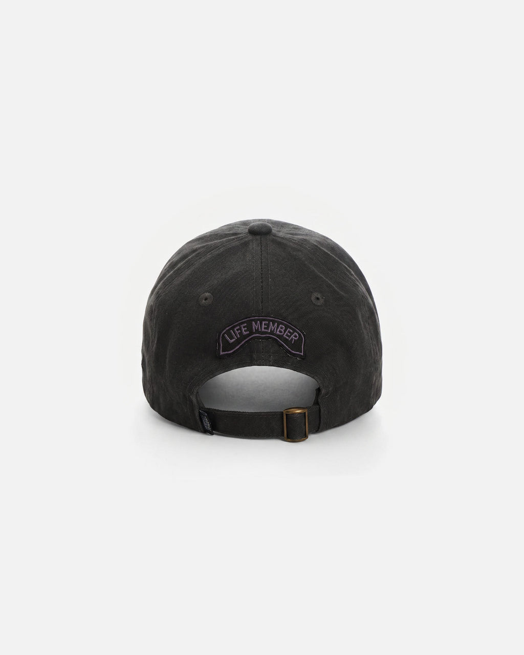 Anteater 6 Panel Cap
