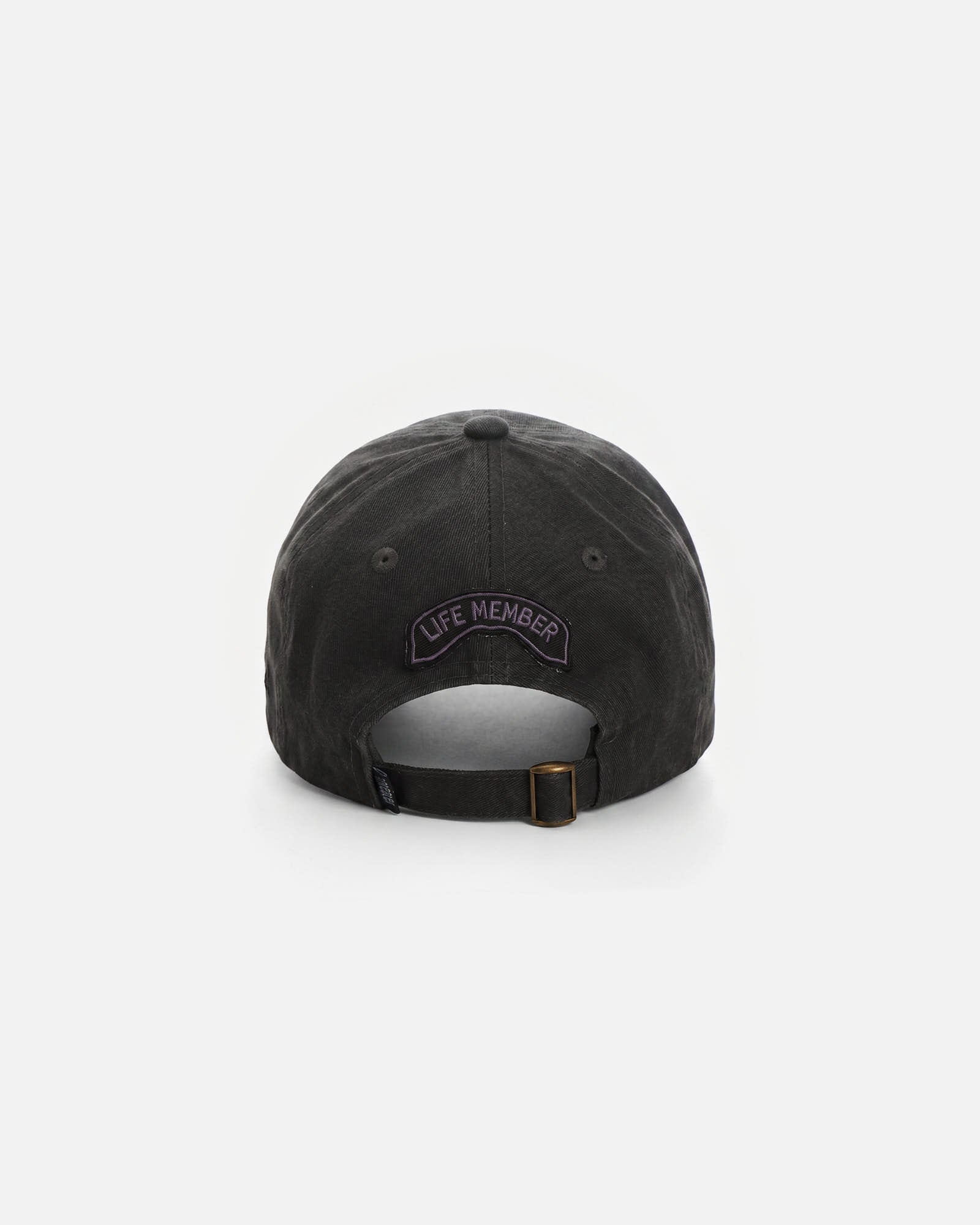 Anteater 6 Panel Cap