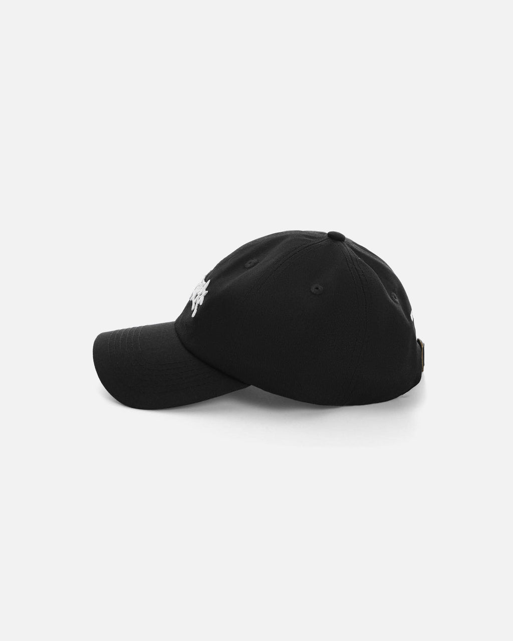 Anteater 6 Panel Cap