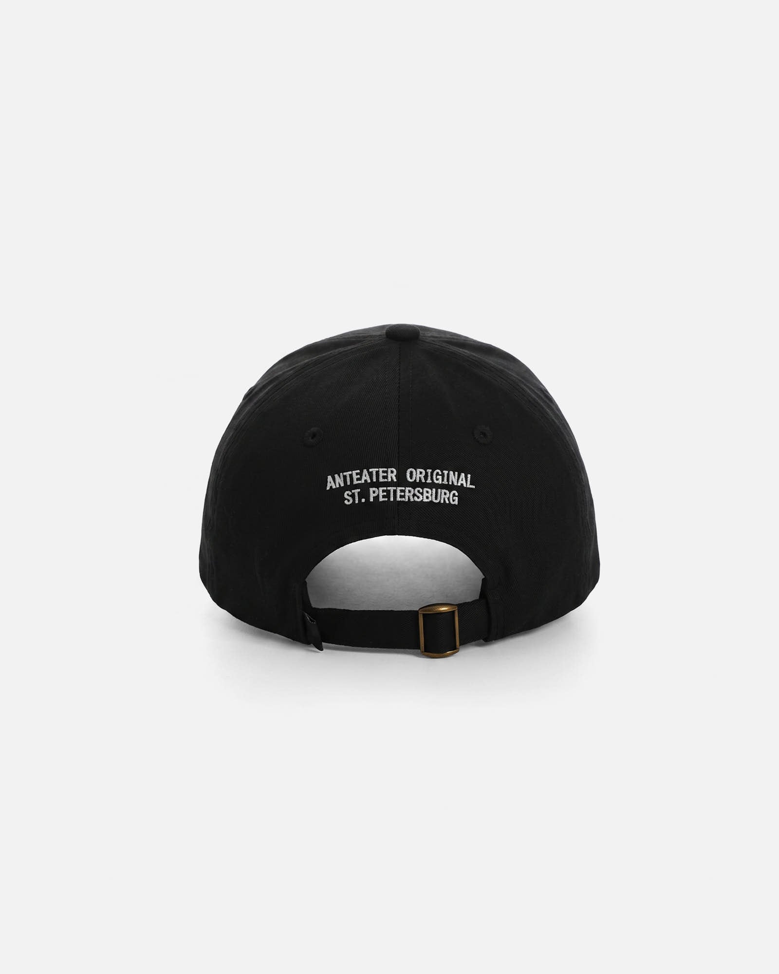 Anteater 6 Panel Cap