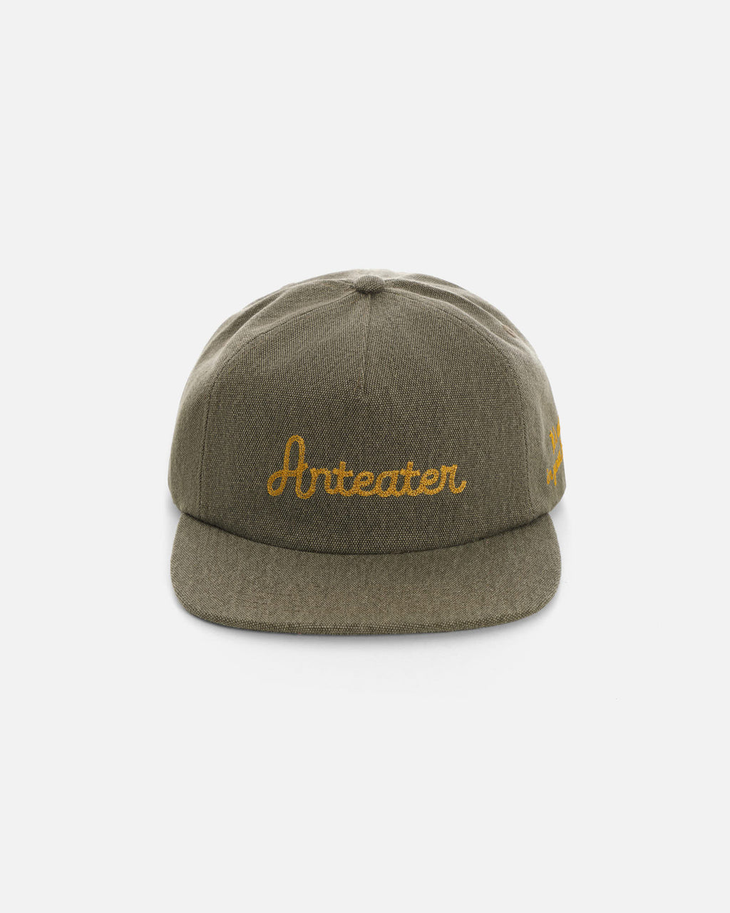 Anteater Snap Back Cap