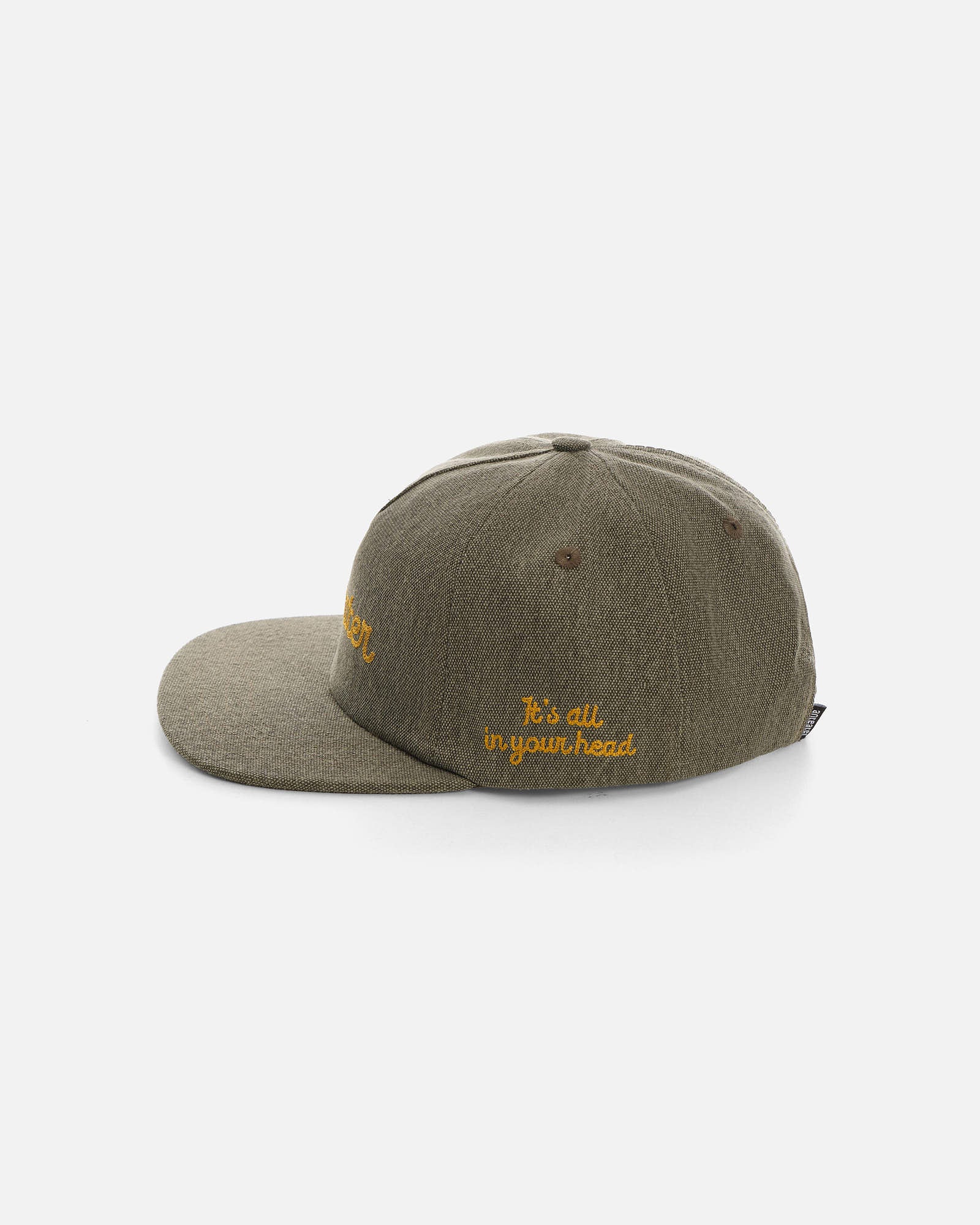 Anteater Snap Back Cap