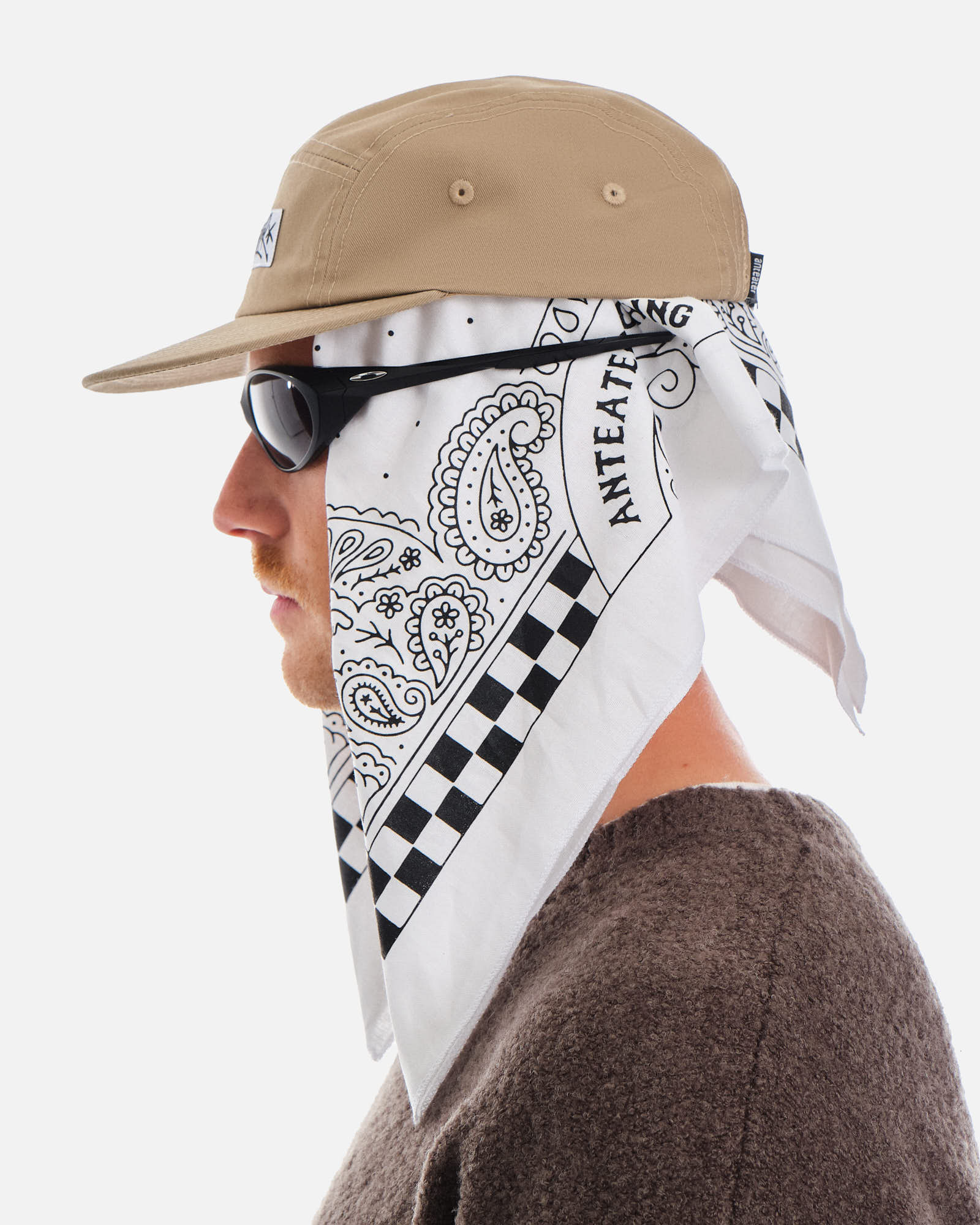 Anteater 5 Panel Cap
