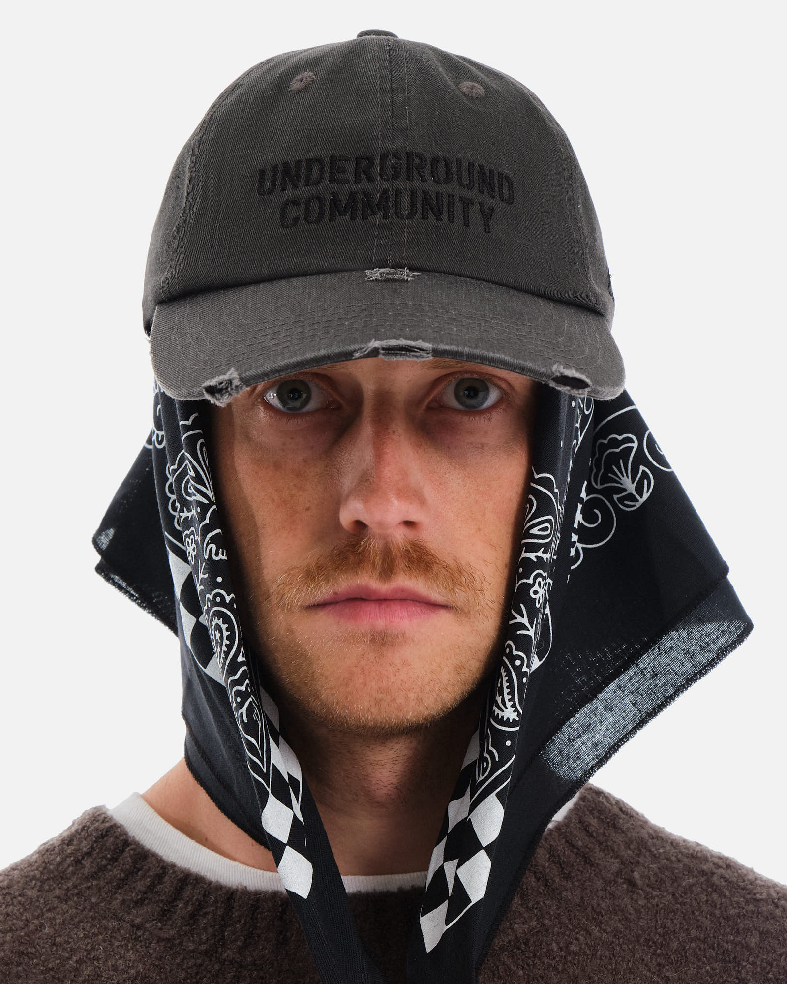 Anteater 6 Panel Cap