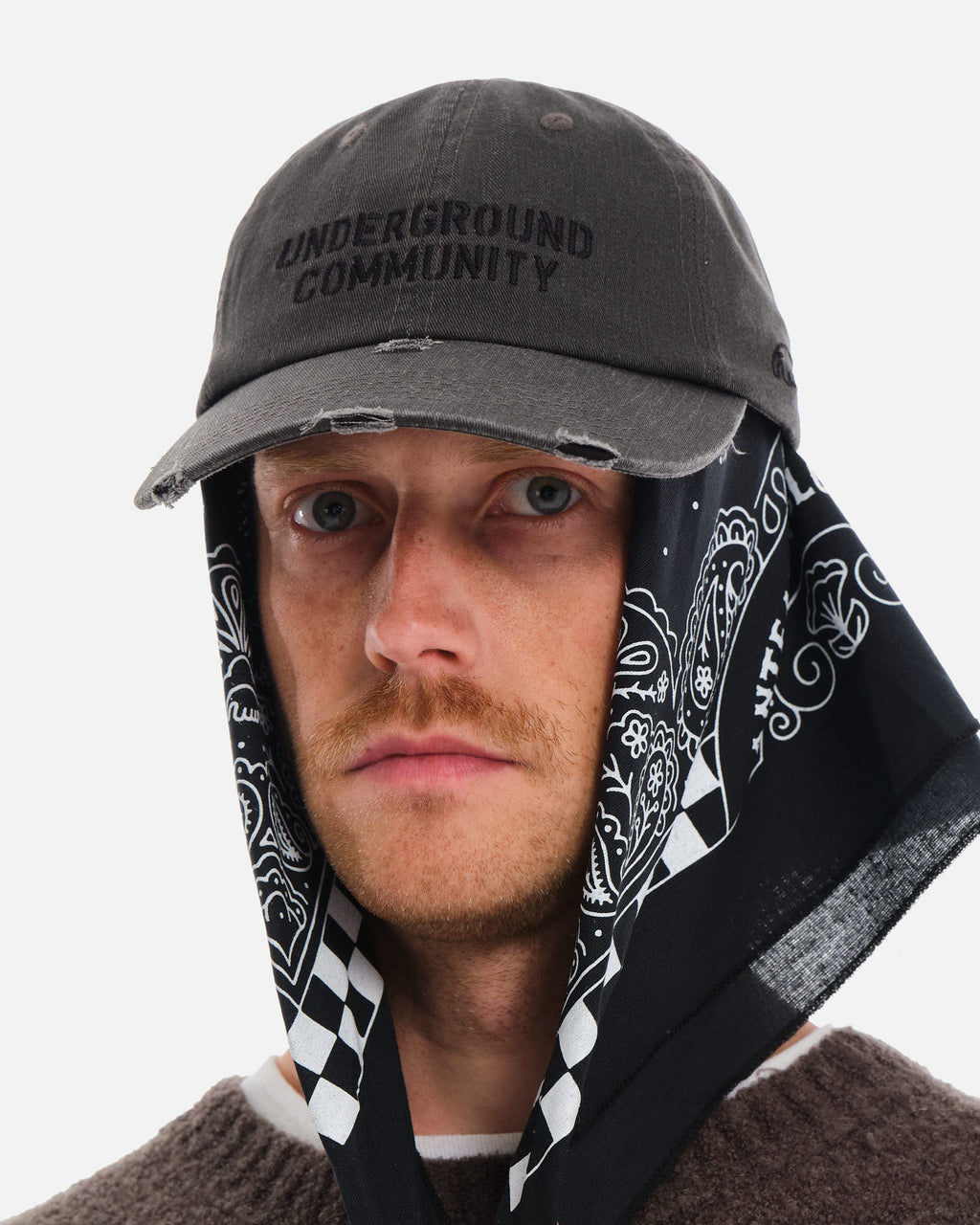 Anteater 6 Panel Cap
