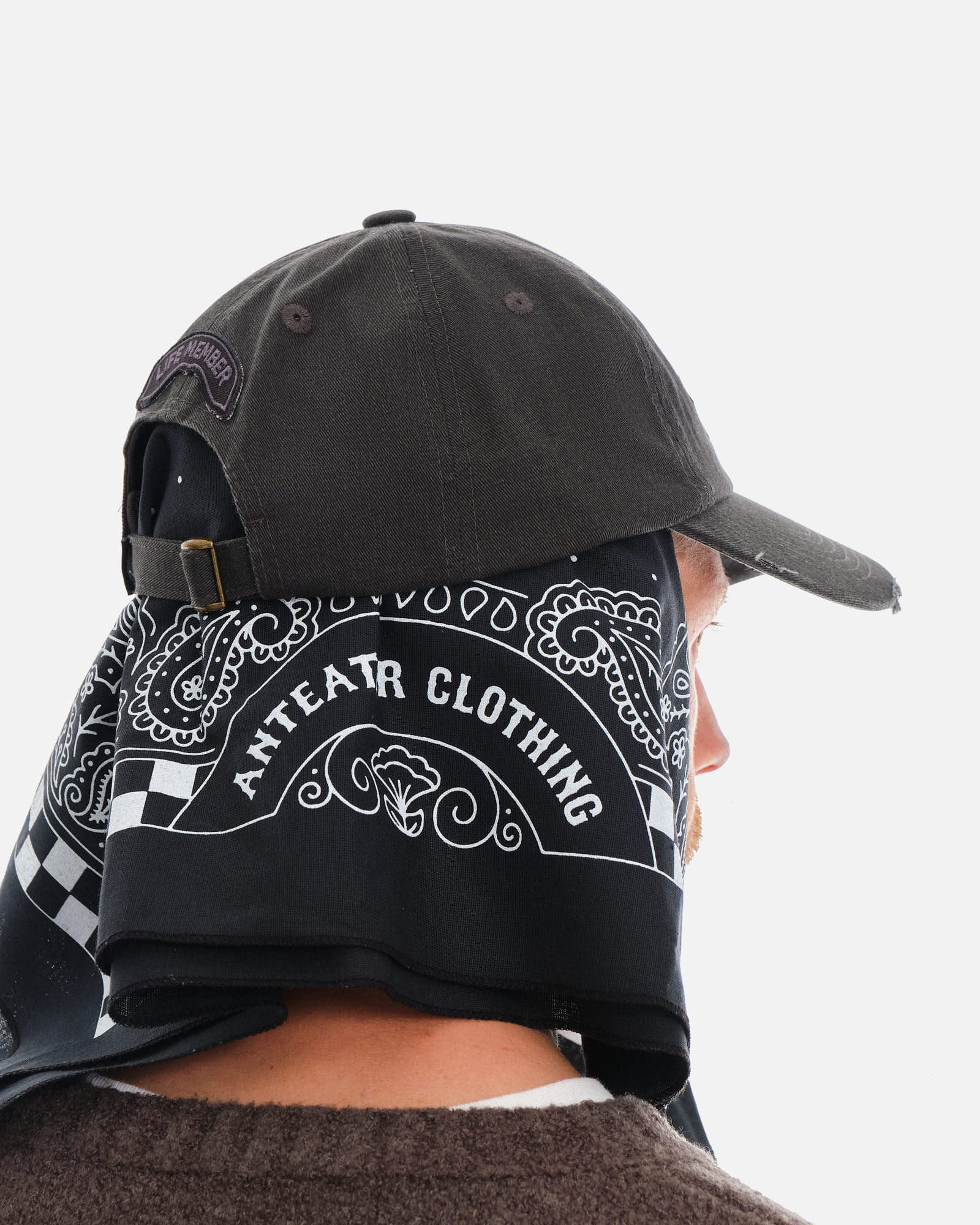 Anteater 6 Panel Cap