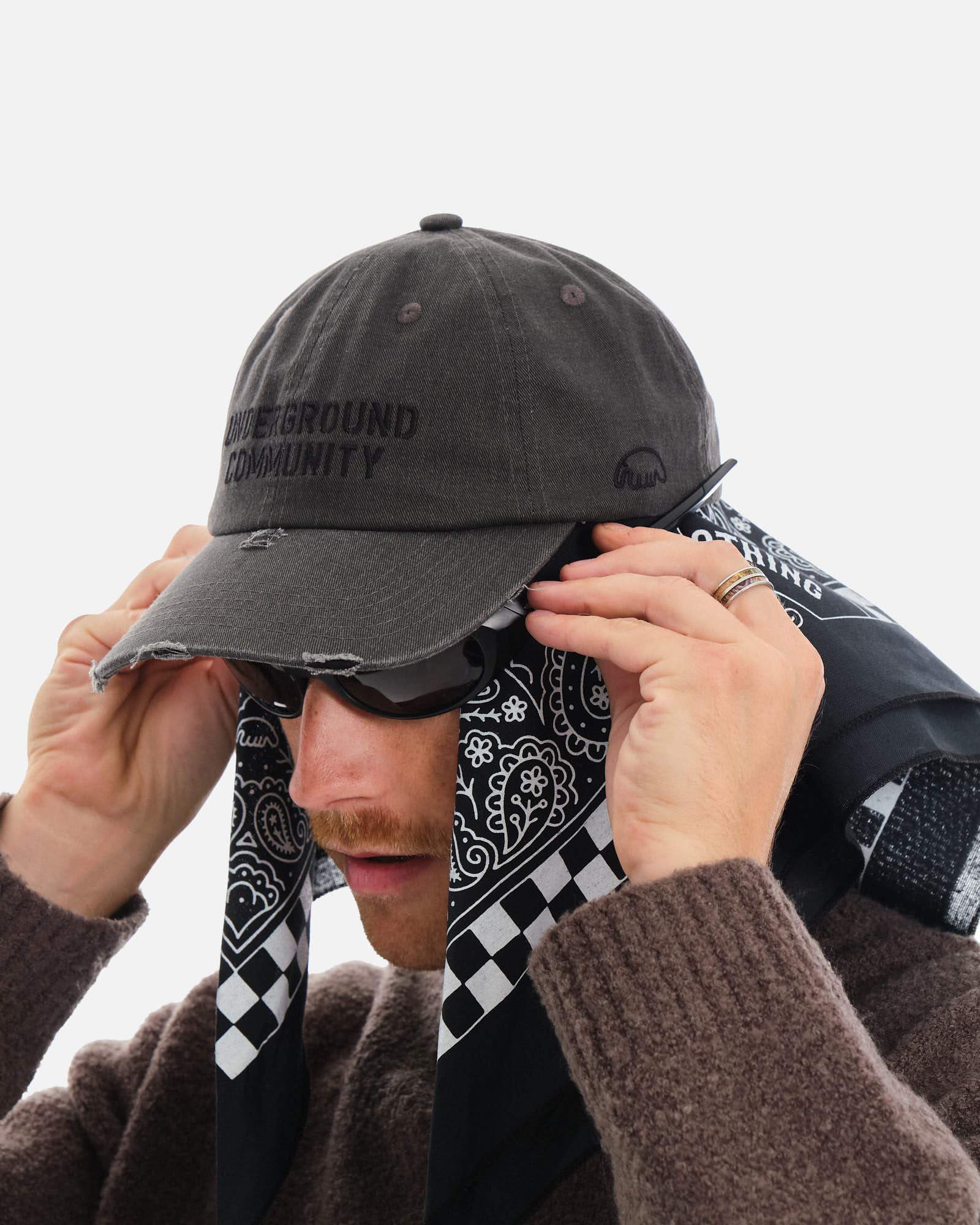 Anteater 6 Panel Cap