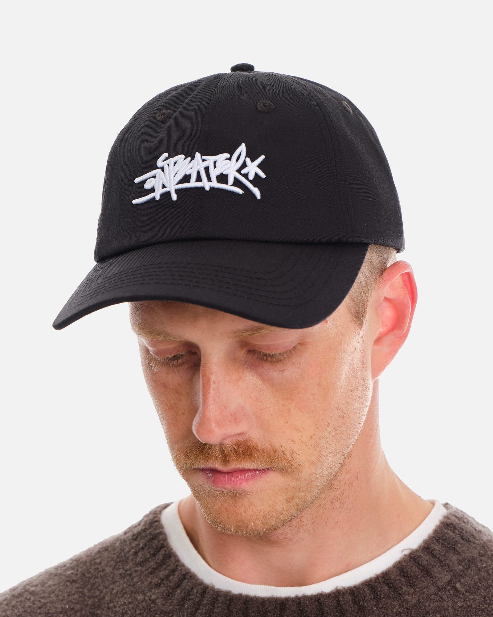 Anteater 6 Panel Cap