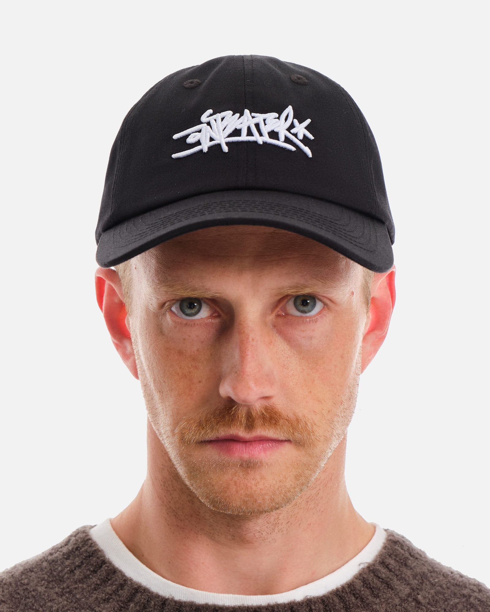 Anteater 6 Panel Cap