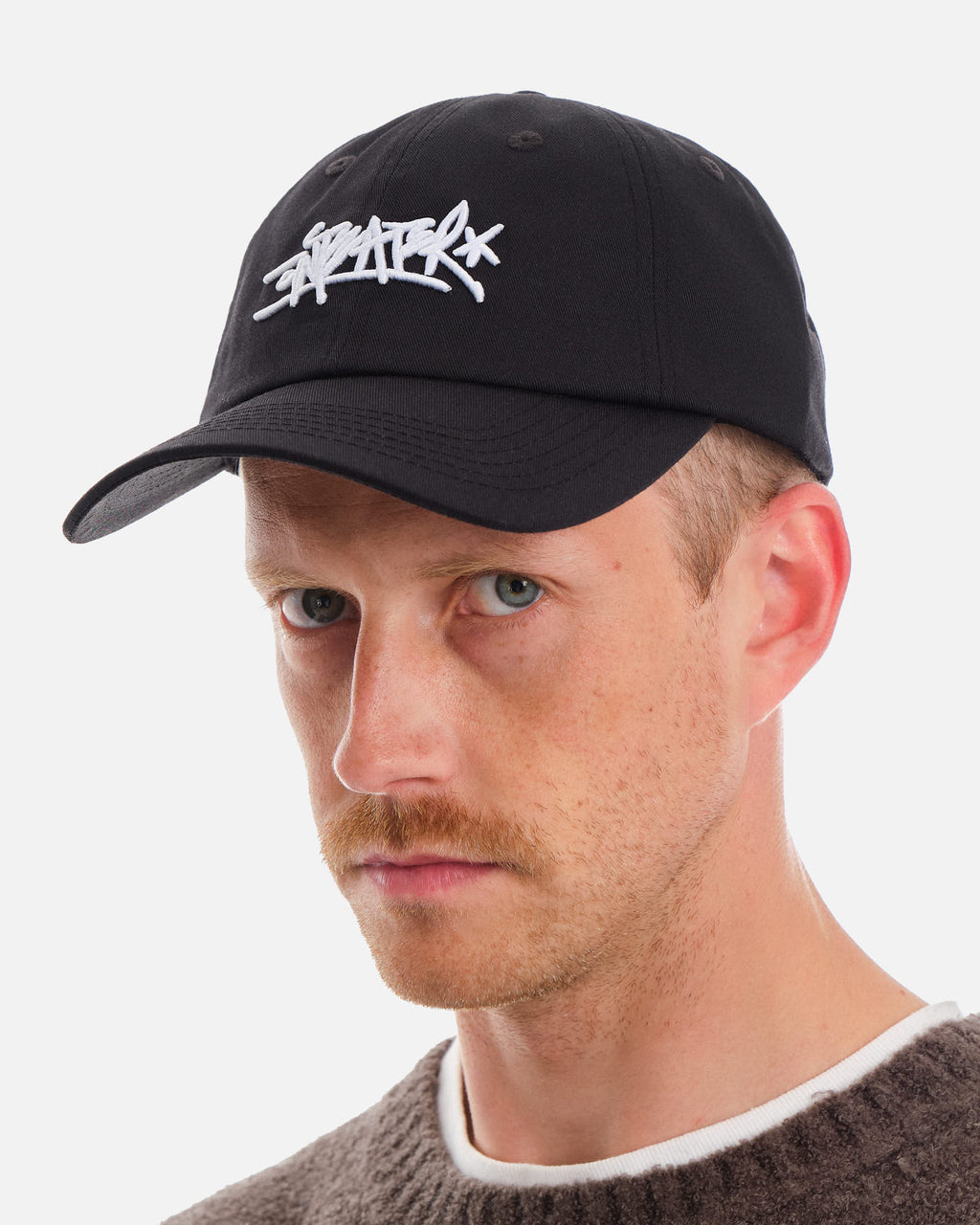 Anteater 6 Panel Cap