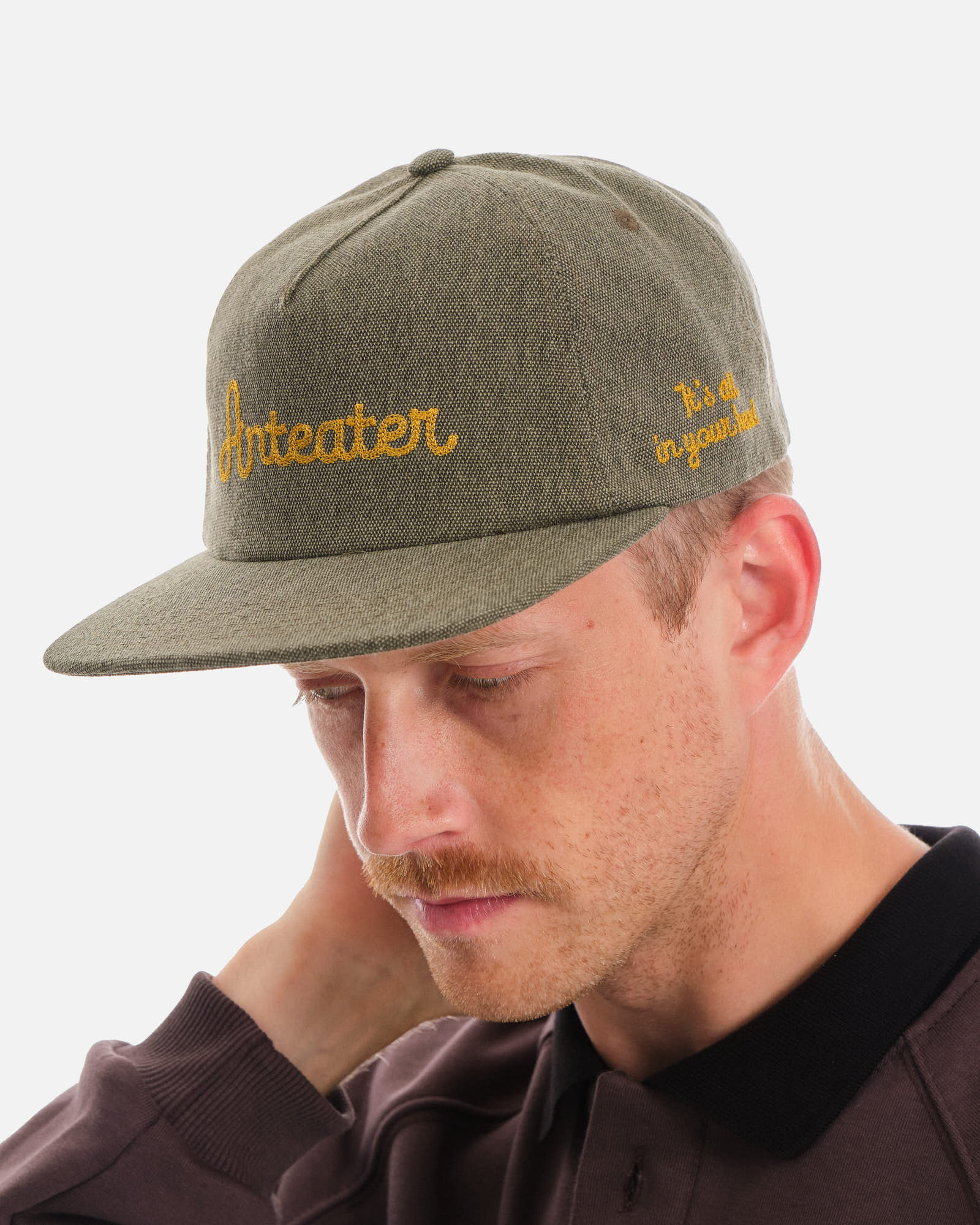 Anteater Snap Back Cap