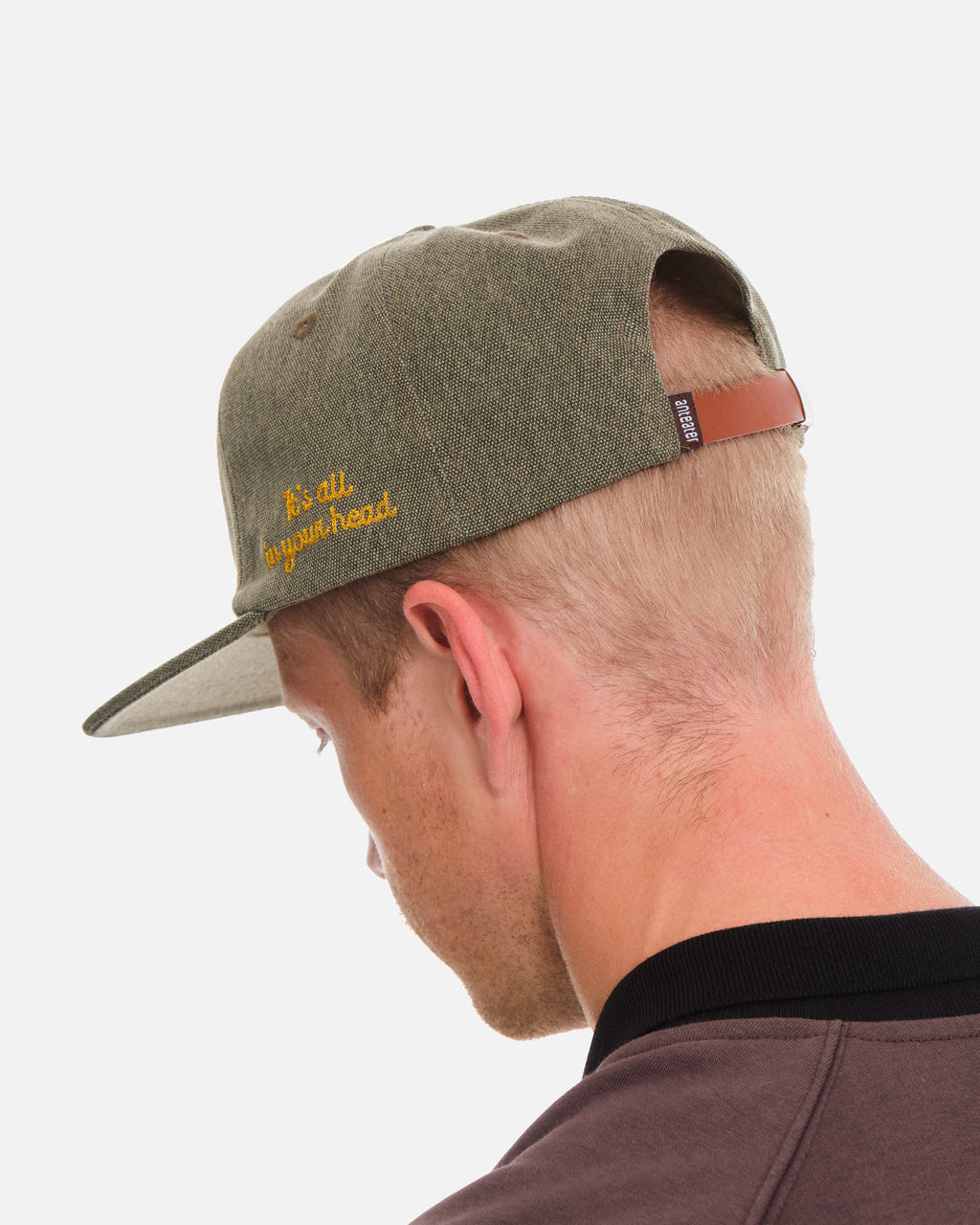 Anteater Snap Back Cap