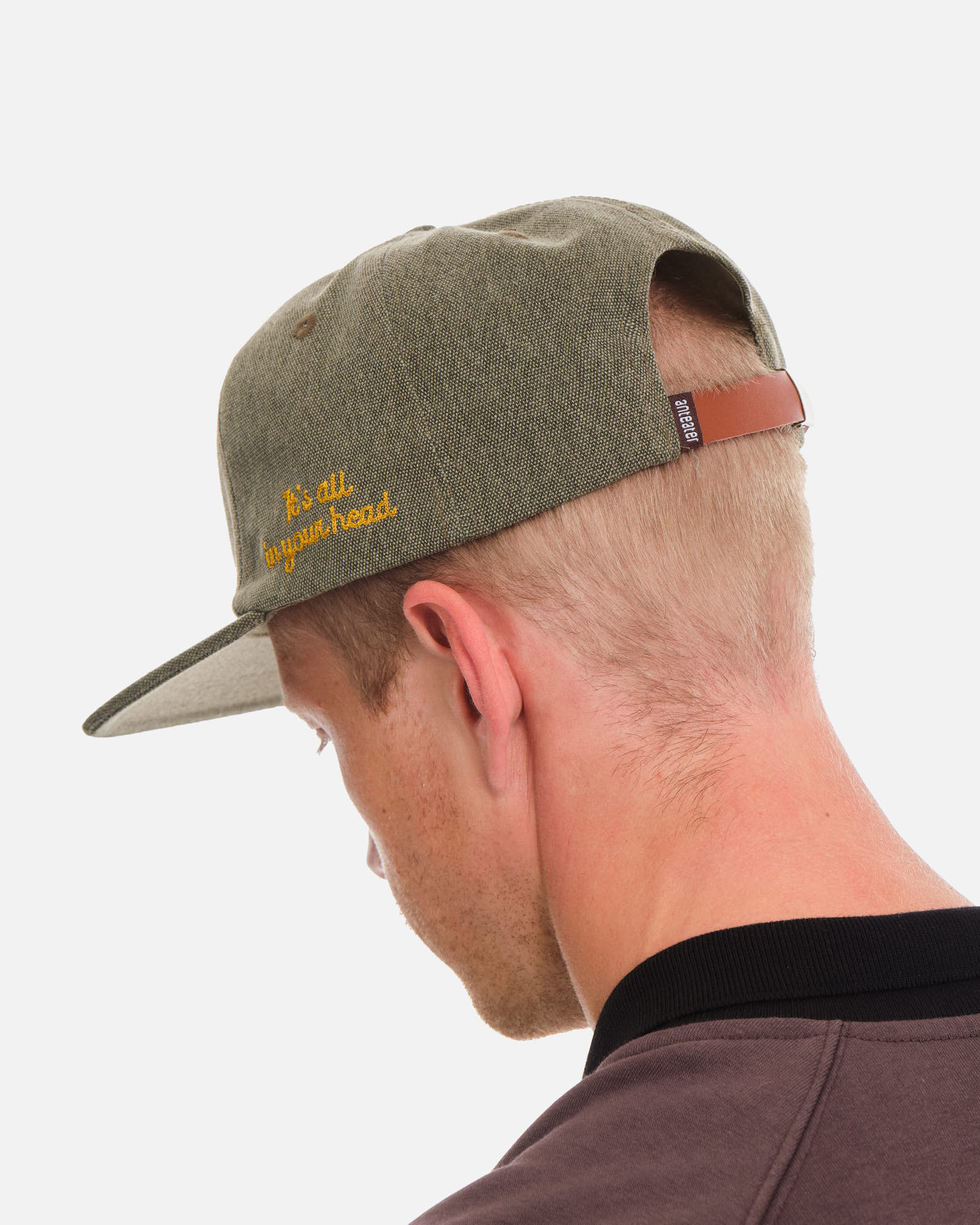 Anteater Snap Back Cap