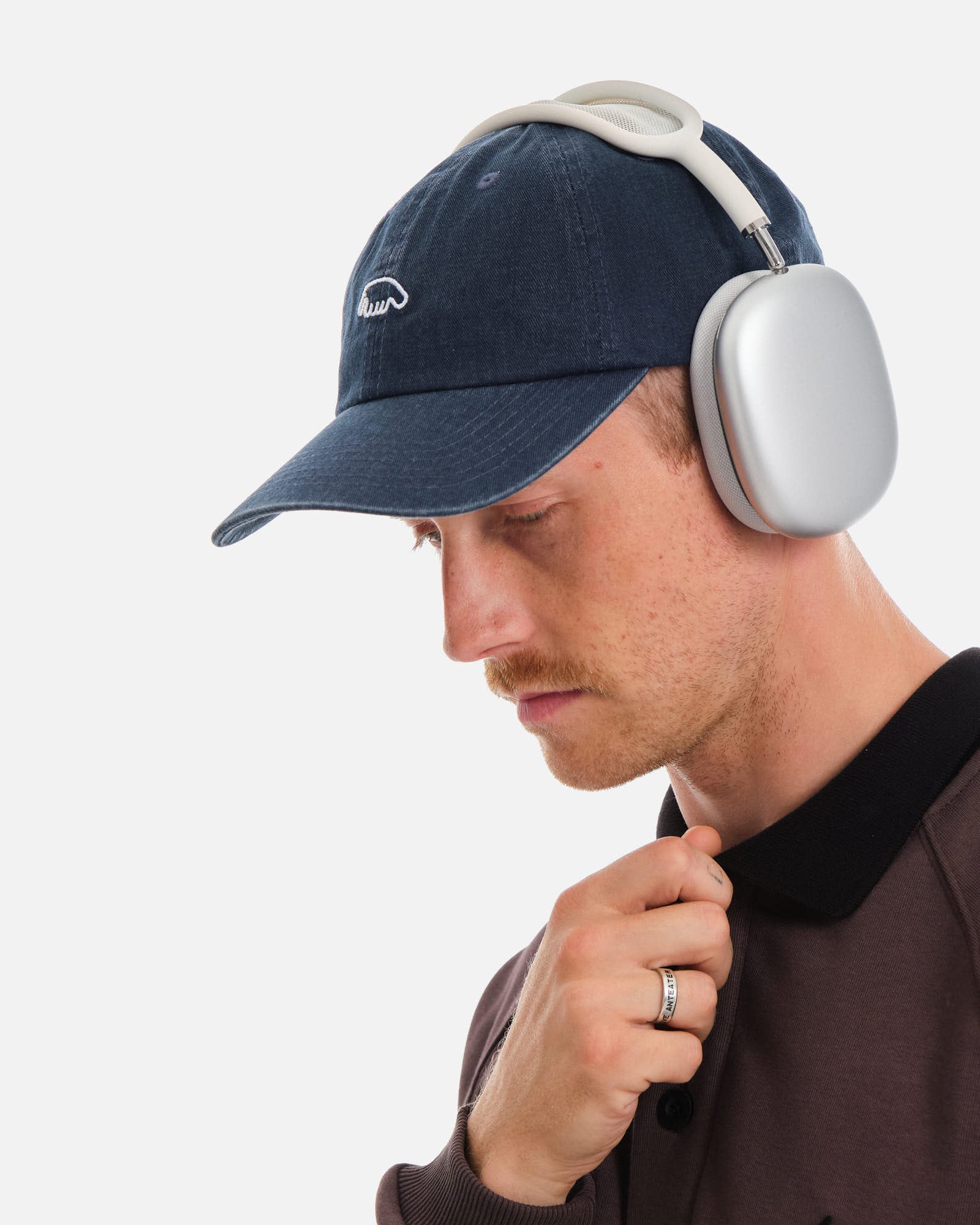 Anteater 6 Panel Cap
