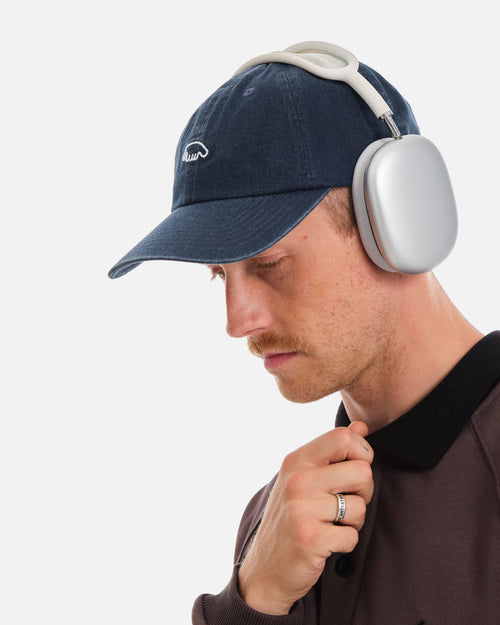 Anteater 6 Panel Cap