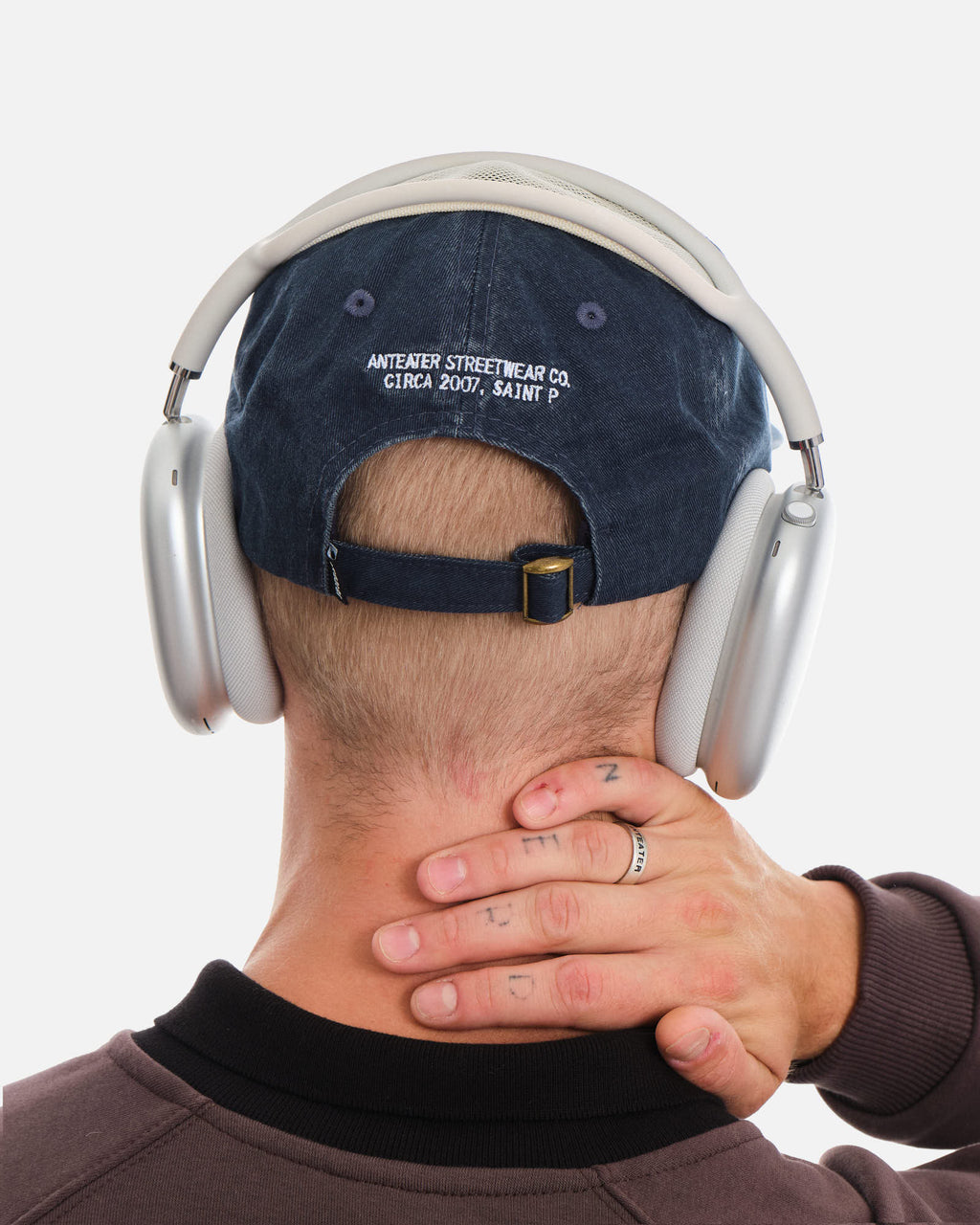 Anteater 6 Panel Cap