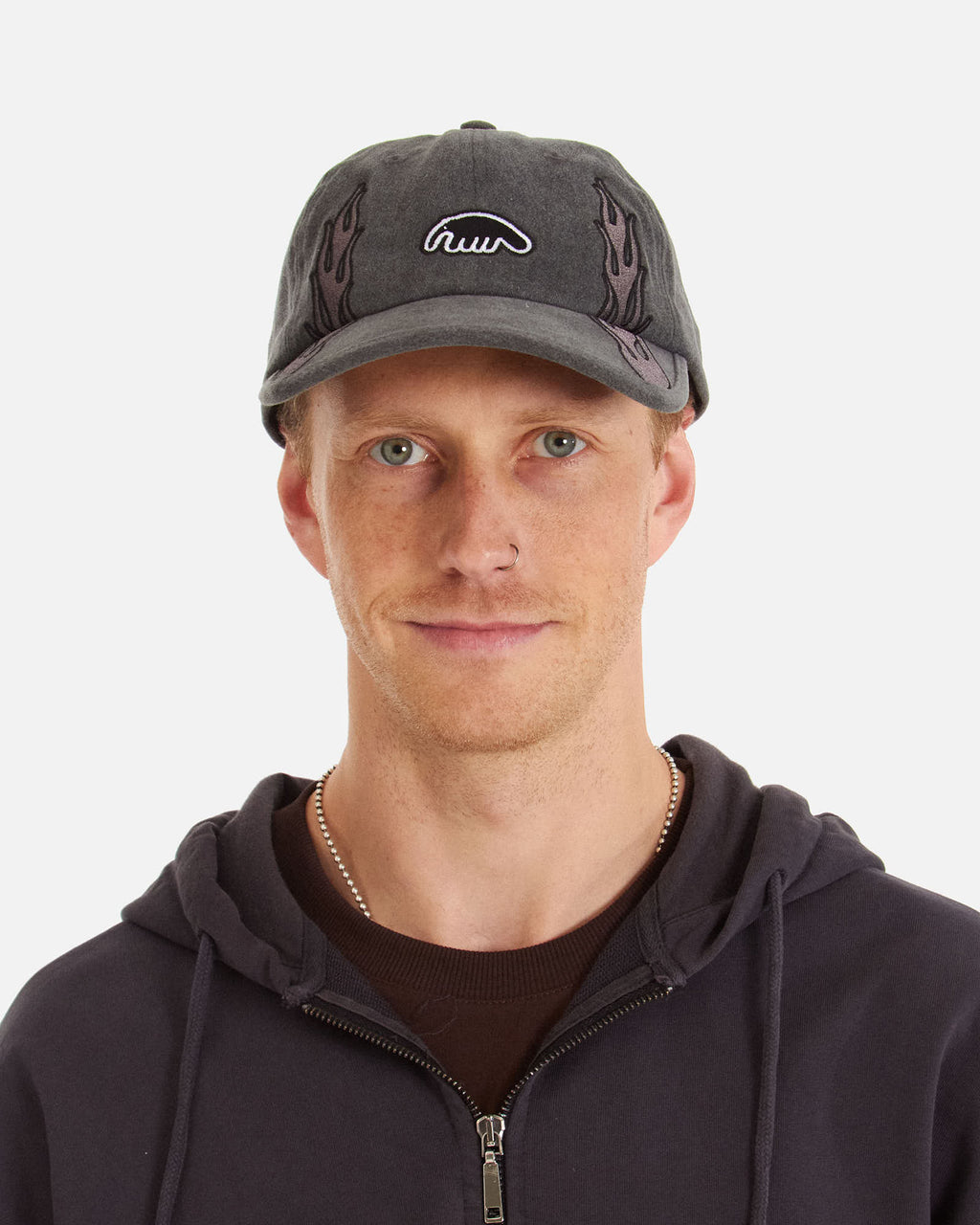 Anteater 6 Panel Cap