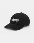 Anteater 6 Panel Cap
