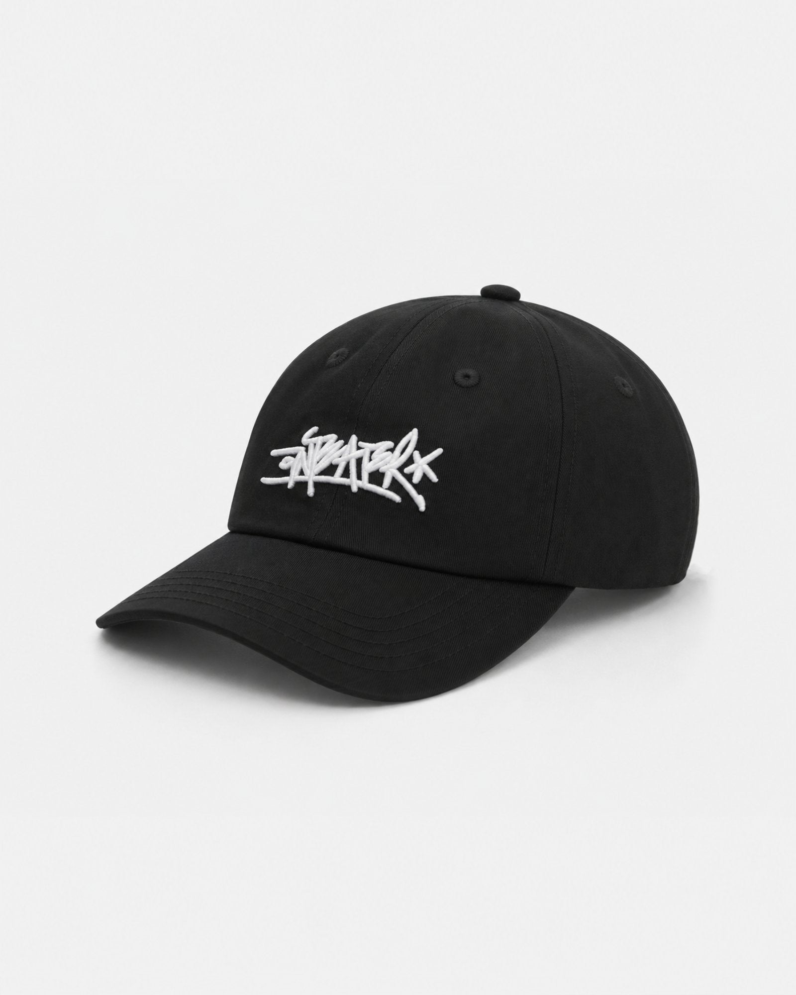 Anteater 6 Panel Cap