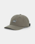 Anteater 6 Panel Cap