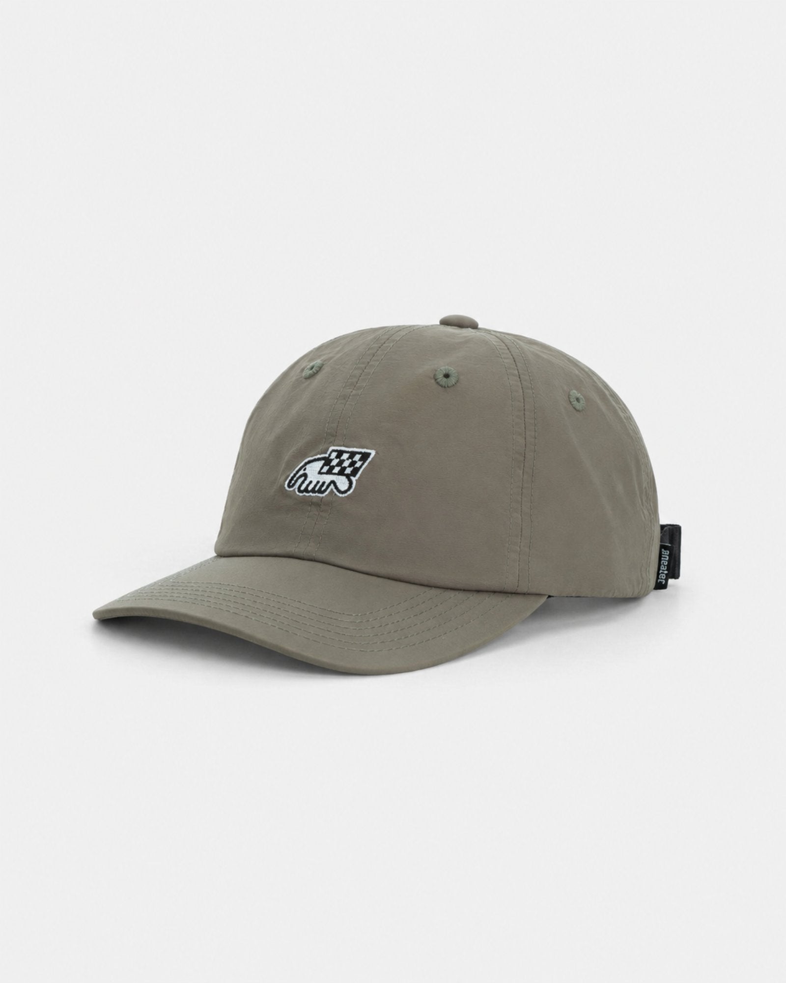Anteater 6 Panel Cap