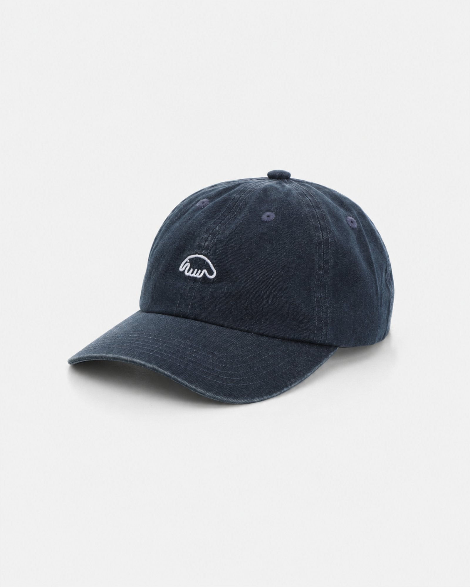 Anteater 6 Panel Cap