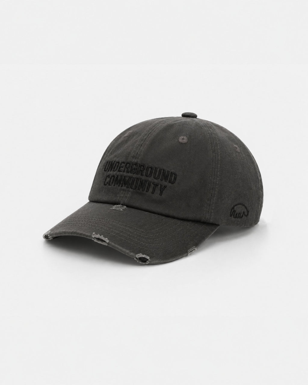 Anteater 6 Panel Cap