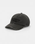 Anteater 6 Panel Cap